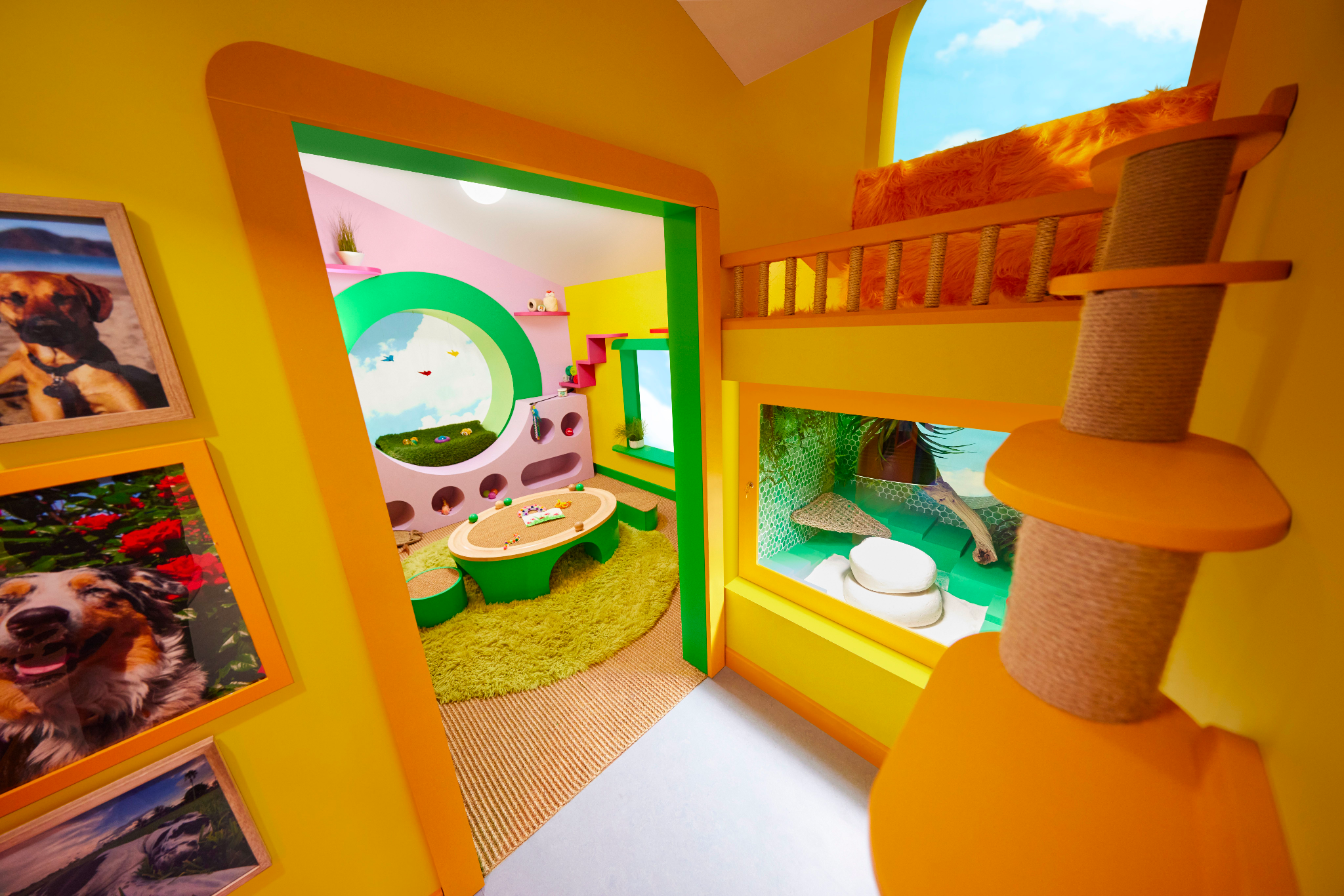 Lizard Lounge + Catio