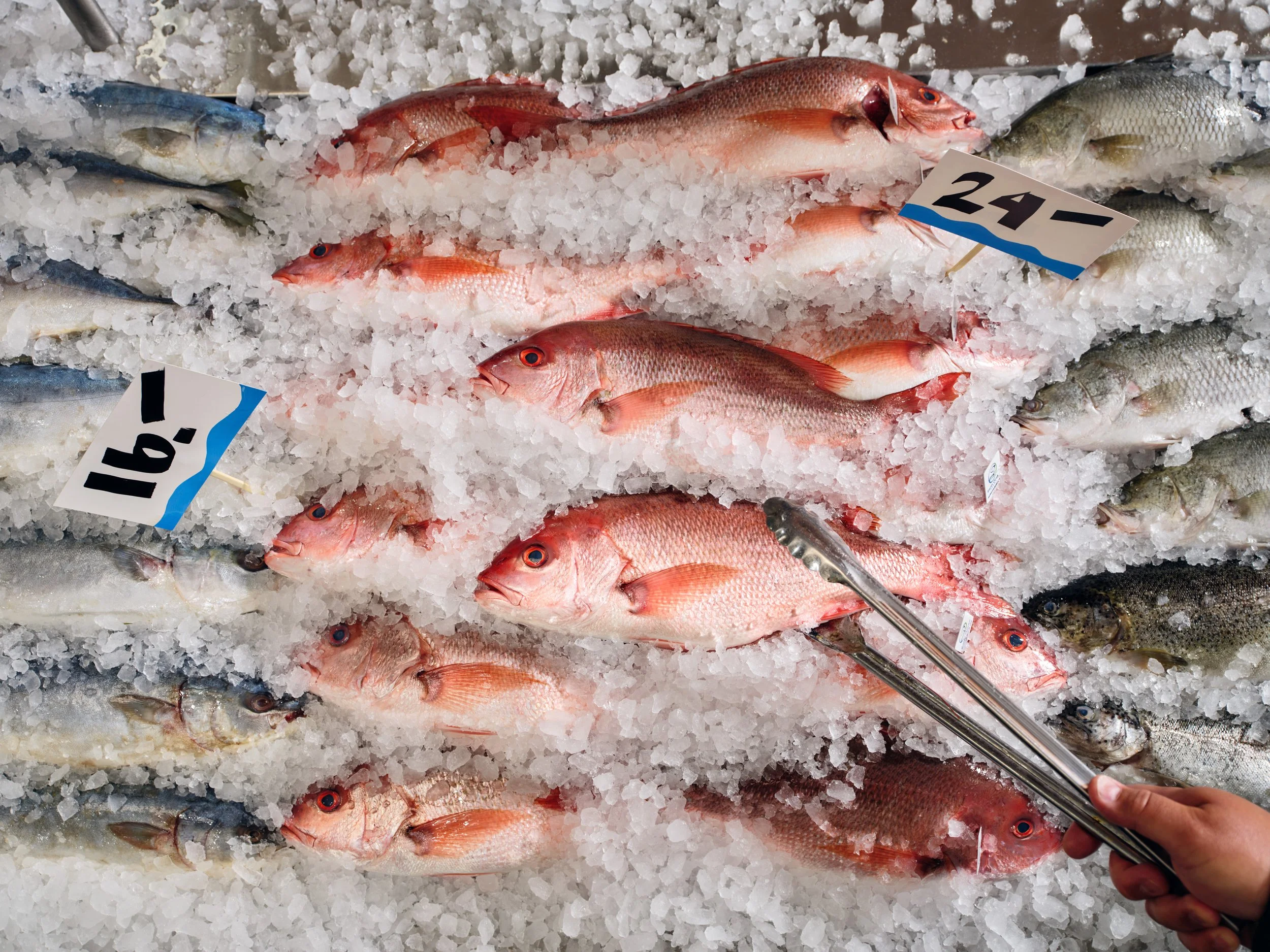 250720_GH_UberEats_FreshGrocery_Fish_APAC_2144_VS_R1.jpeg