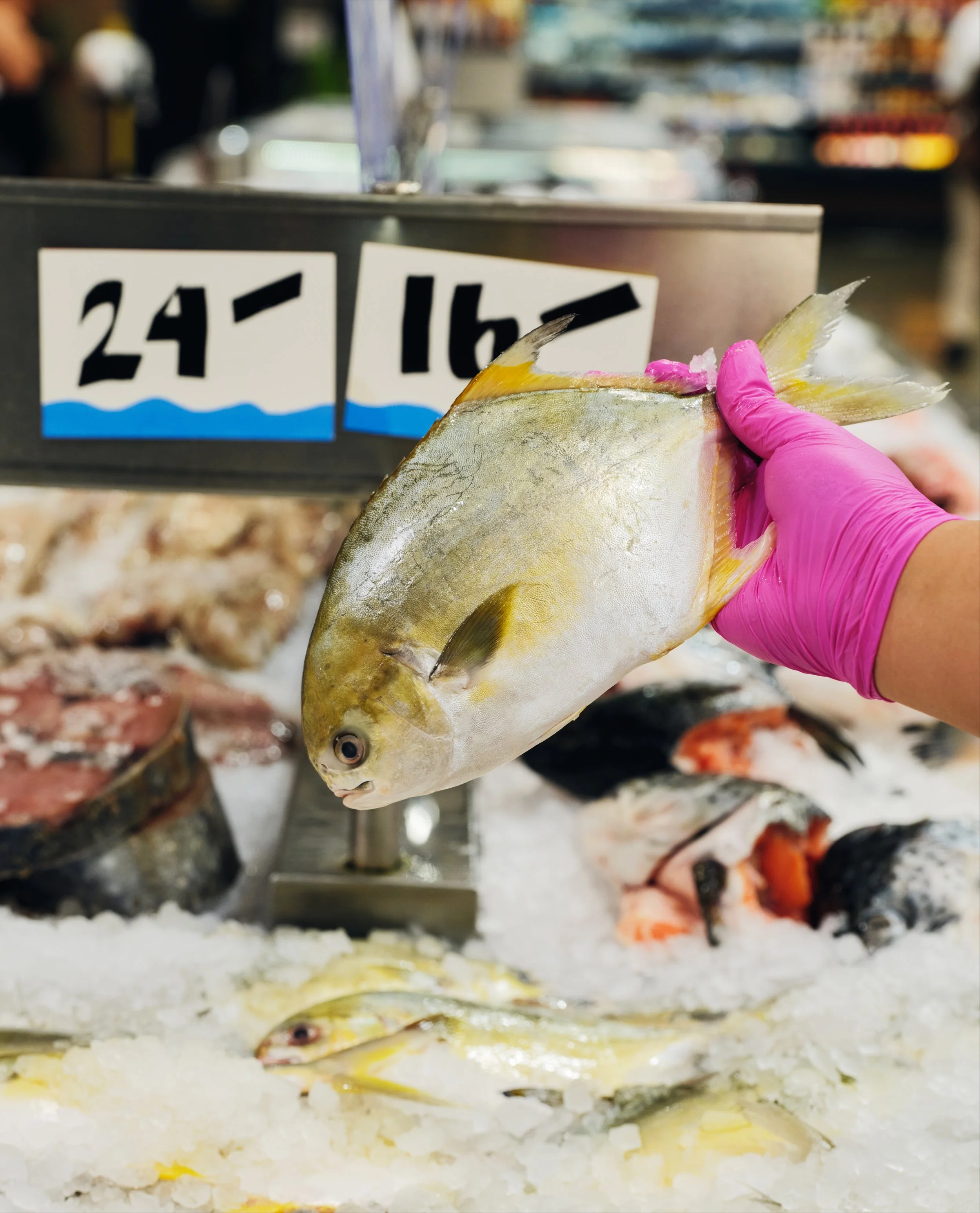 250720_GH_UberEats_FreshGrocery_Fish_APAC_2216_VS_R2.jpeg