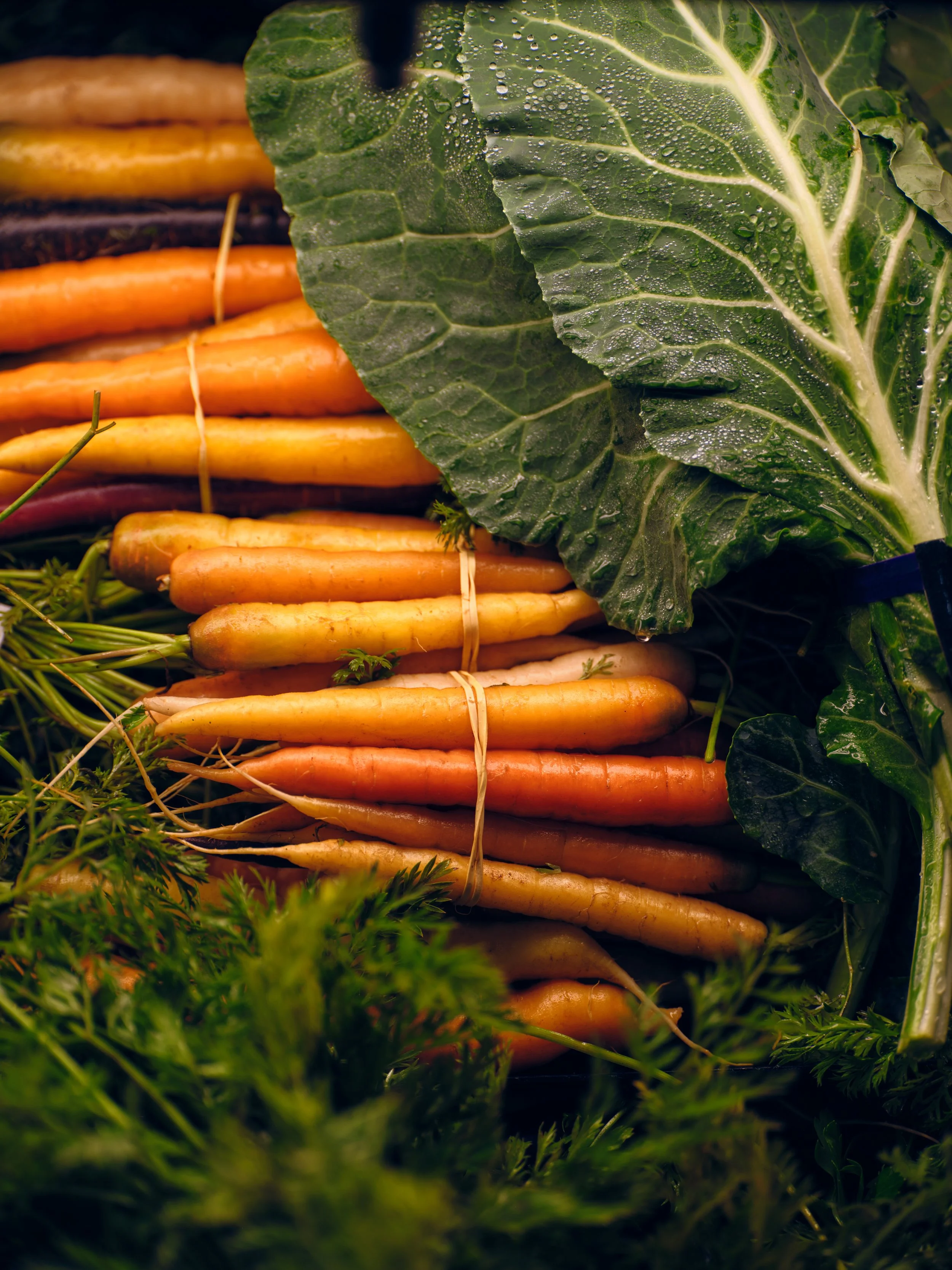 475250720_GH_UberEats_FreshGrocery_Carrots_USC_6547_VS_R3.jpeg