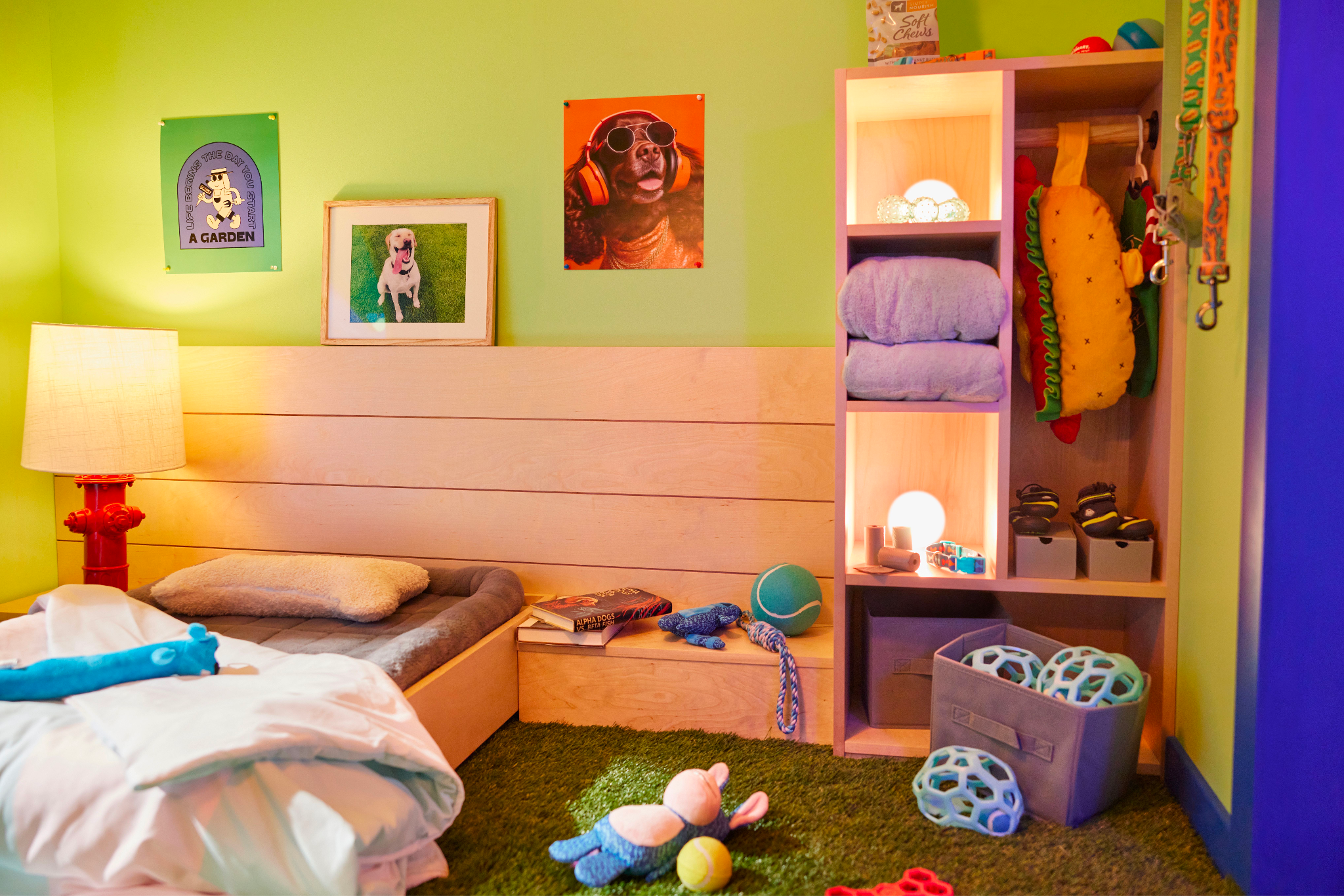 Dog Room + Built in Closet