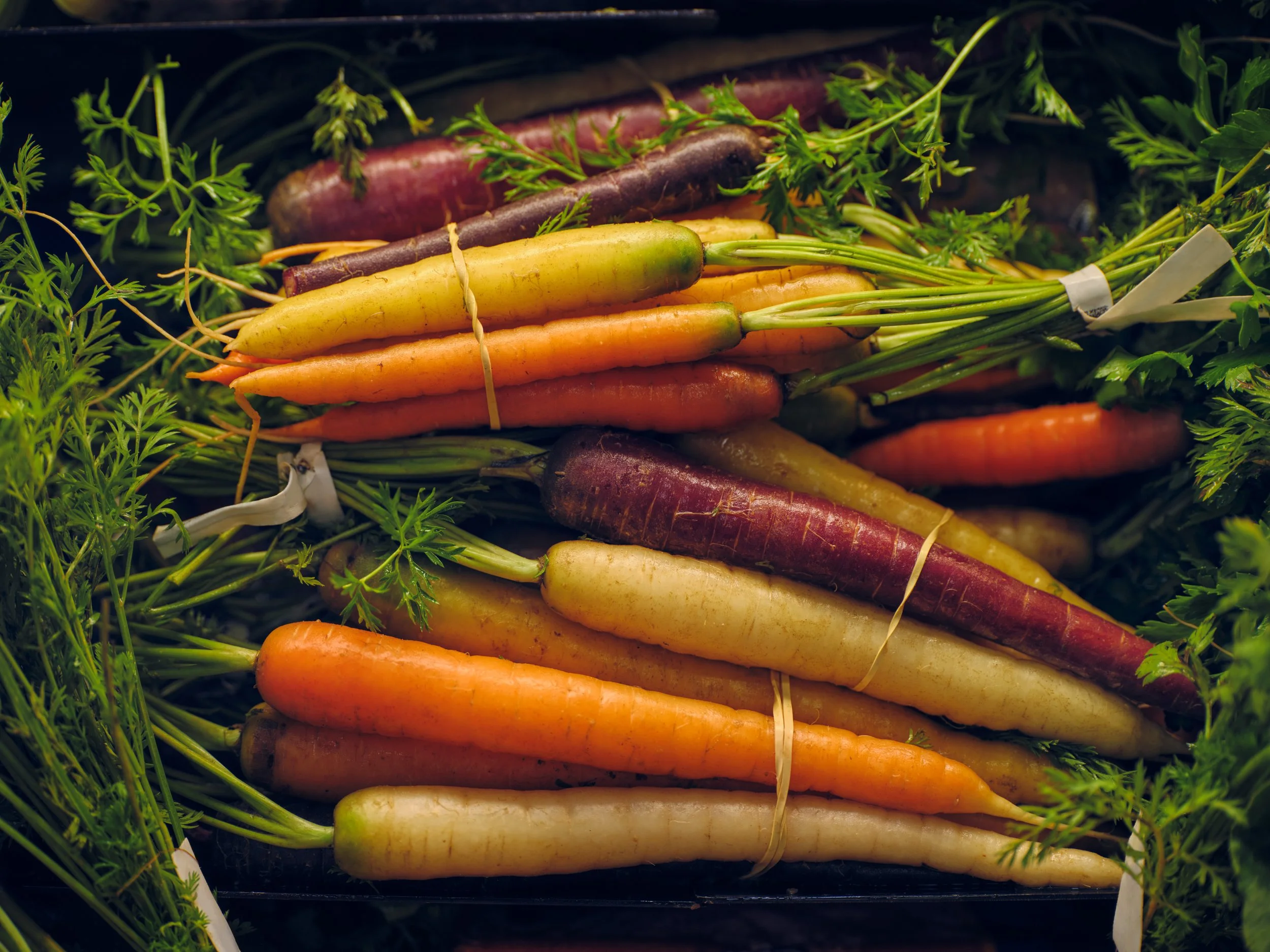 474250720_GH_UberEats_FreshGrocery_Carrots_USC_6548_VS_R2.jpeg