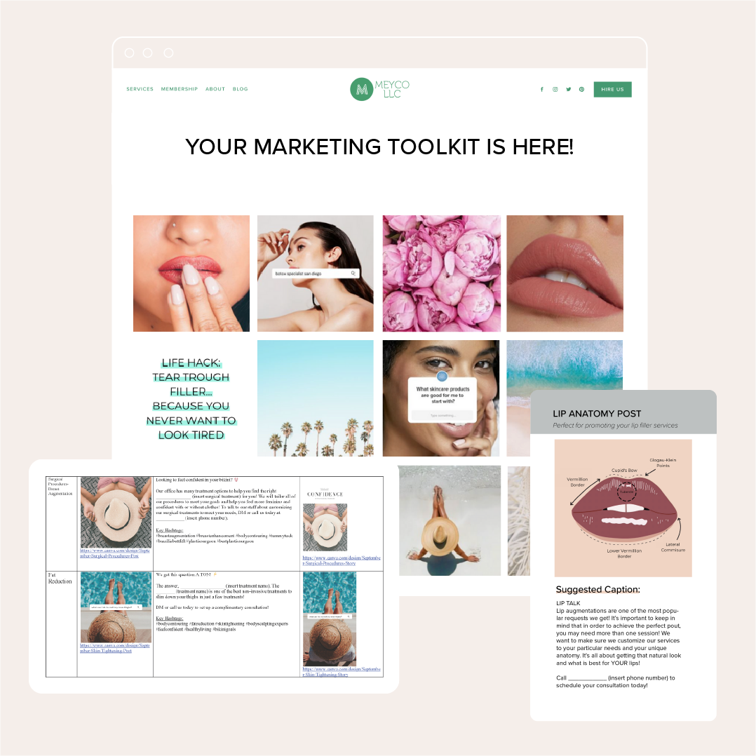 Full 12-Month Subscription