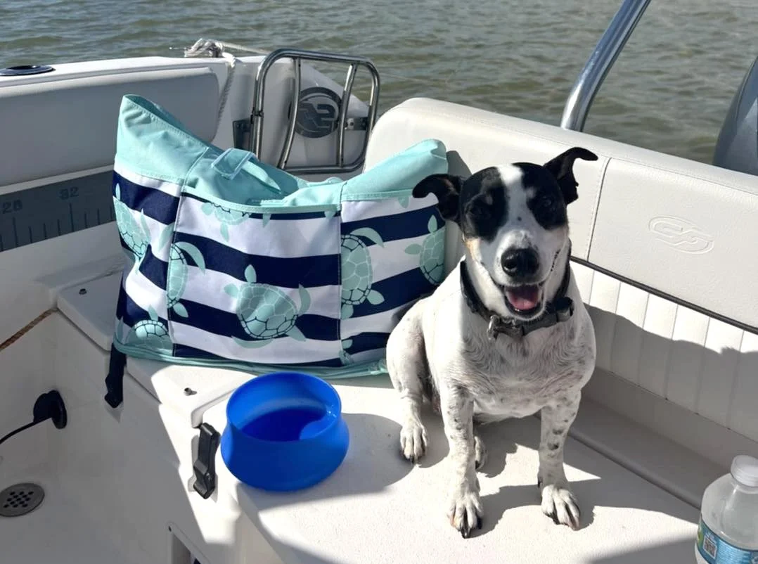Dog-in-boat-on-the-water.jpg