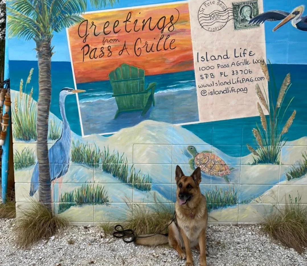 German-Shepard-in-front-of-mural.jpg