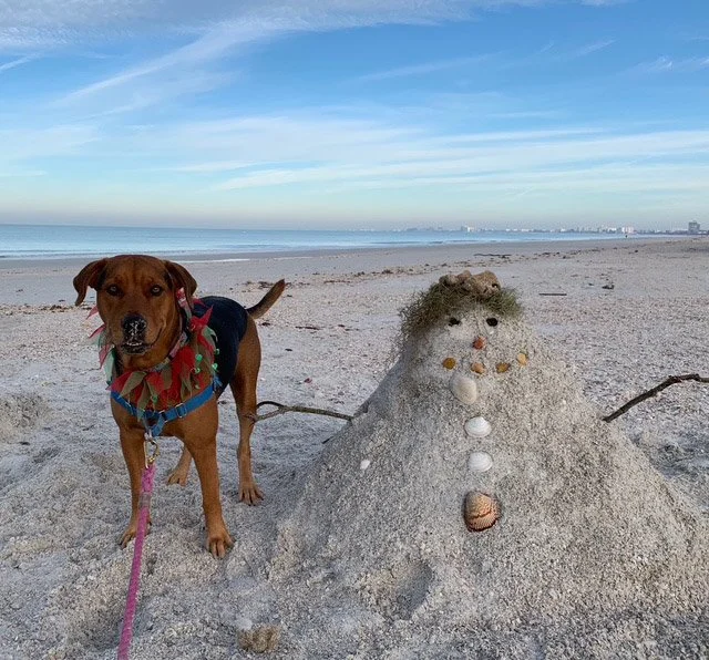 Dog-at-beach-with-snowman.jpg