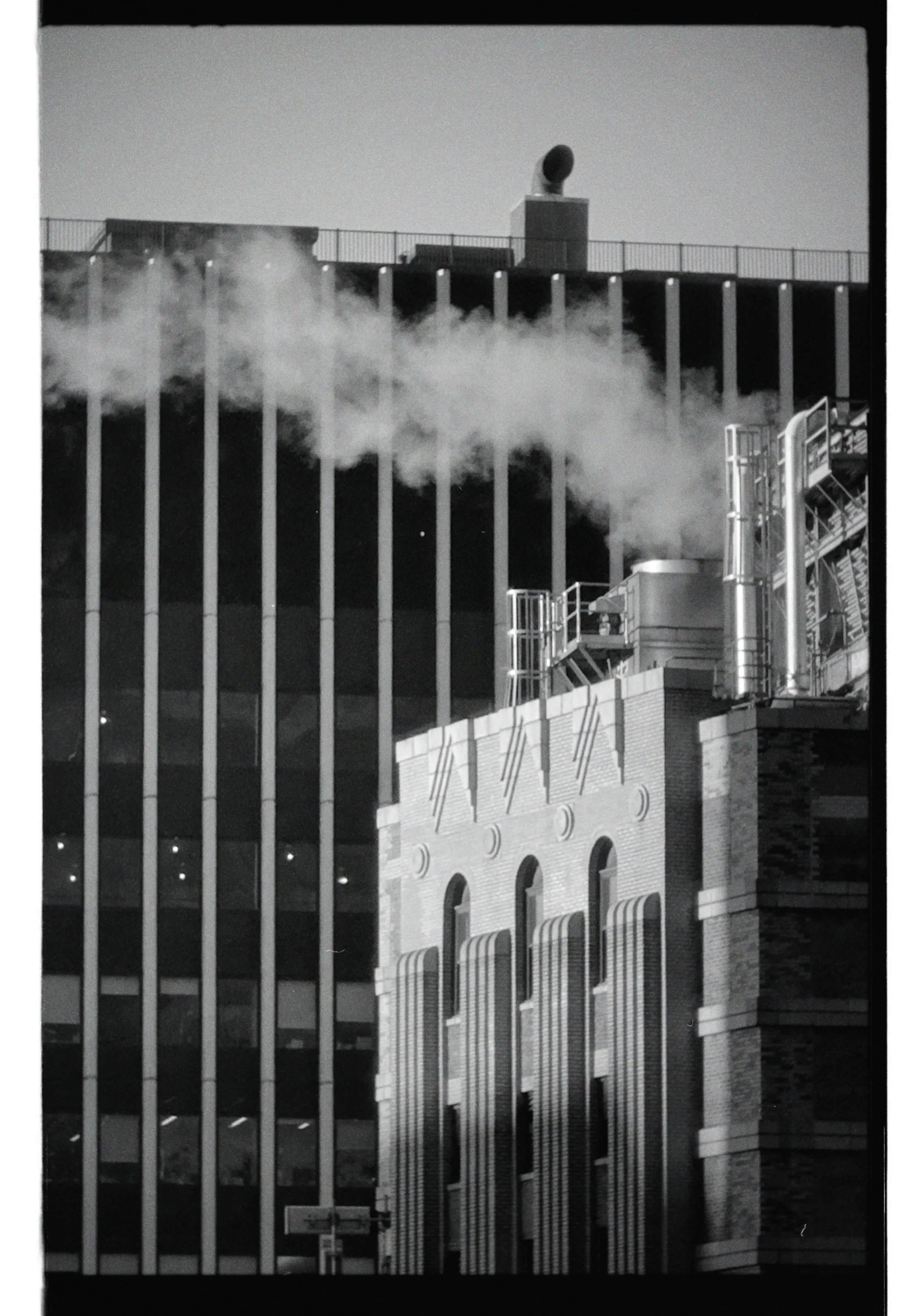 dblack 2026-01-20 075631.885.JPG