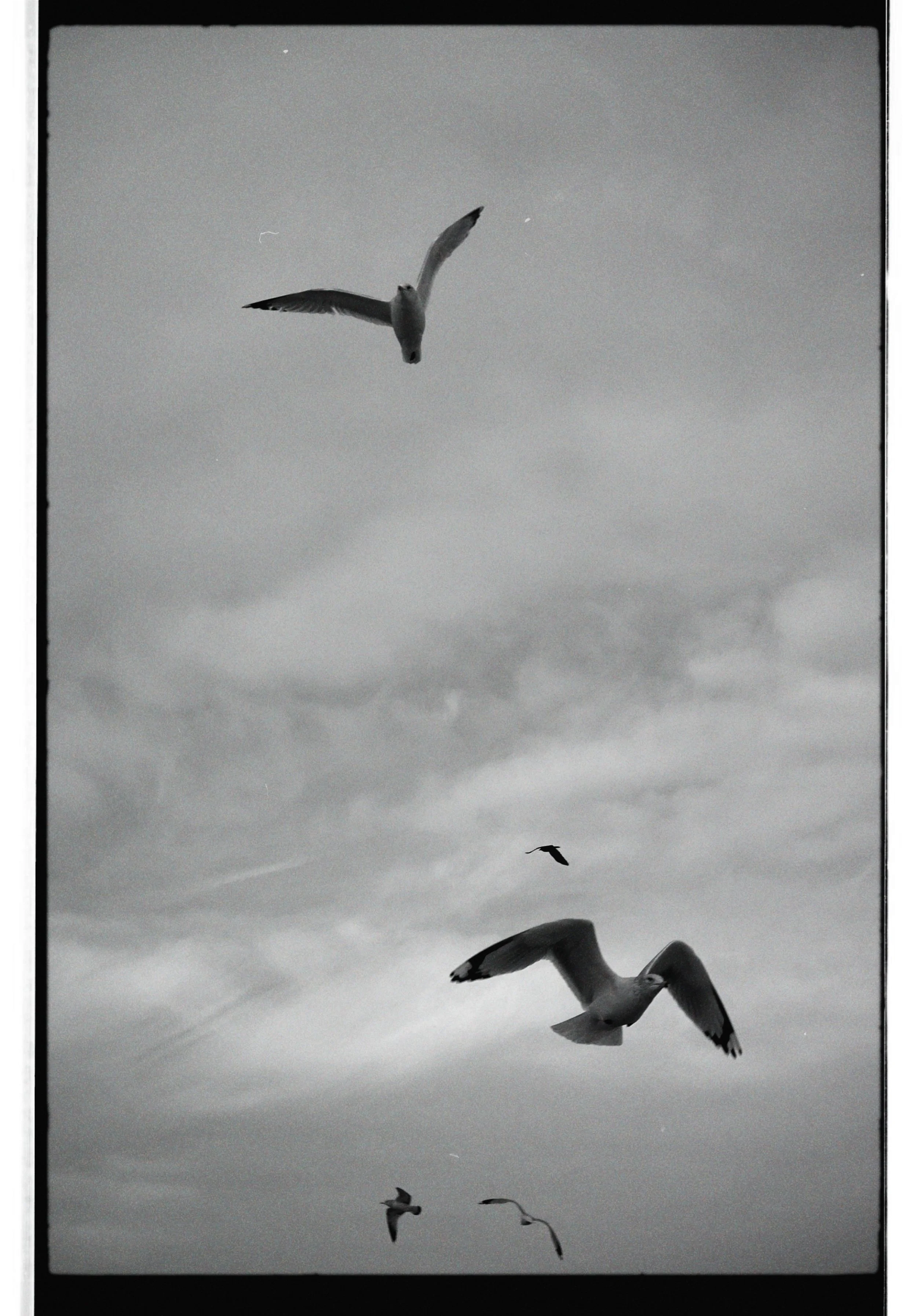 dblack 2026-01-03 110004.481.JPG