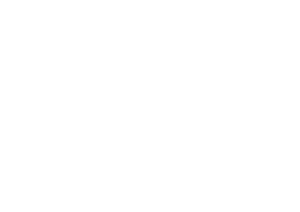 Forged Vans
