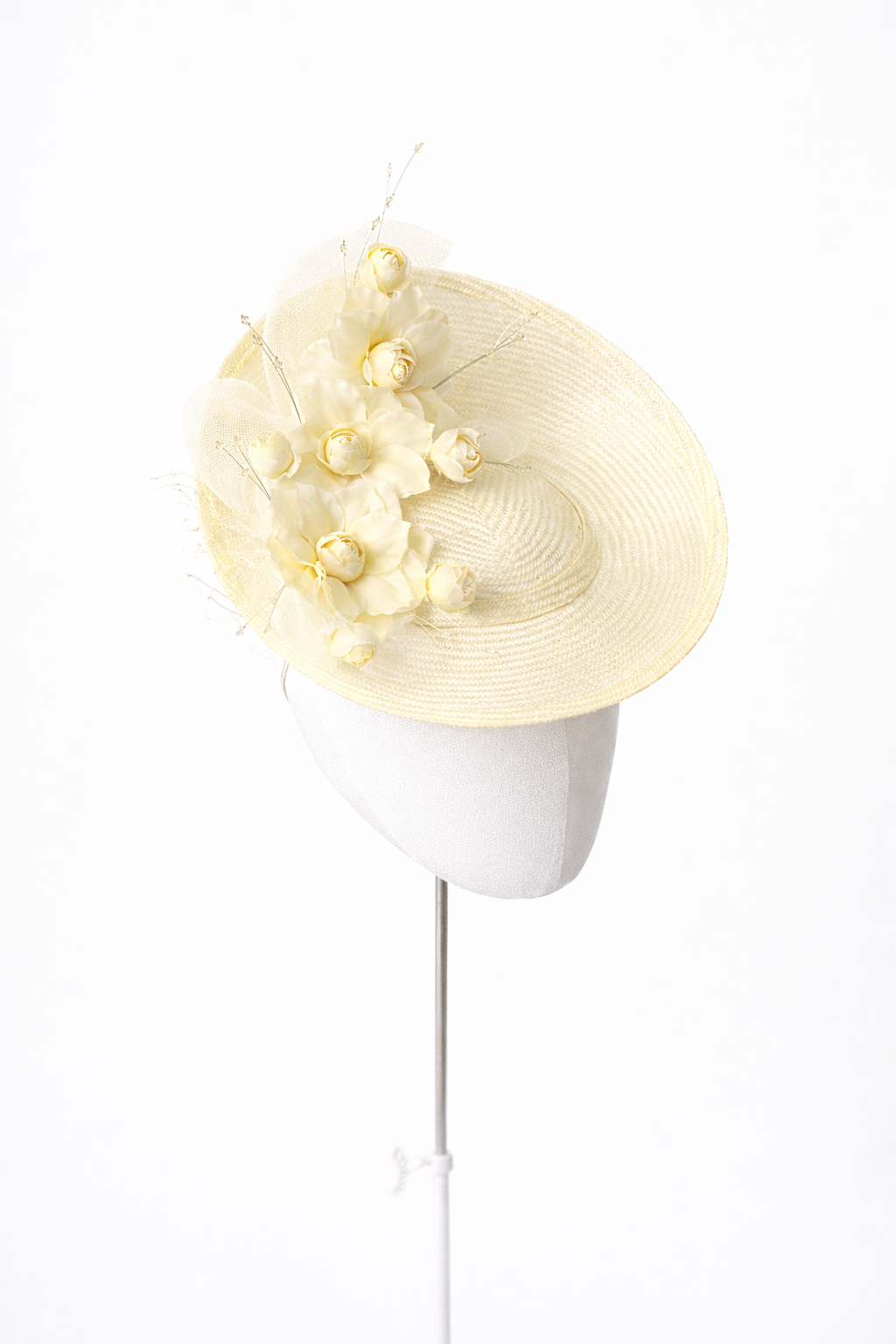 Amelia Perching disc