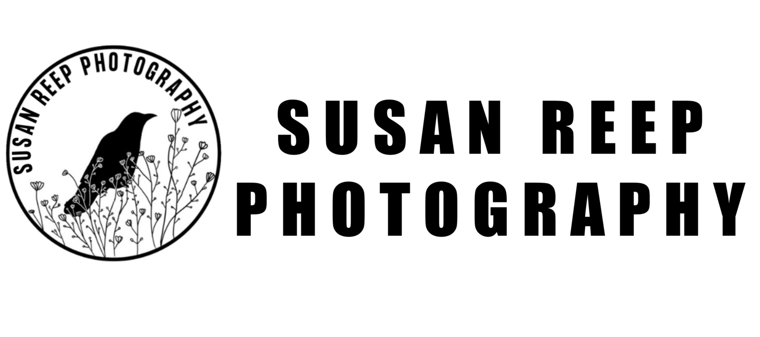 Susan Reep Photography