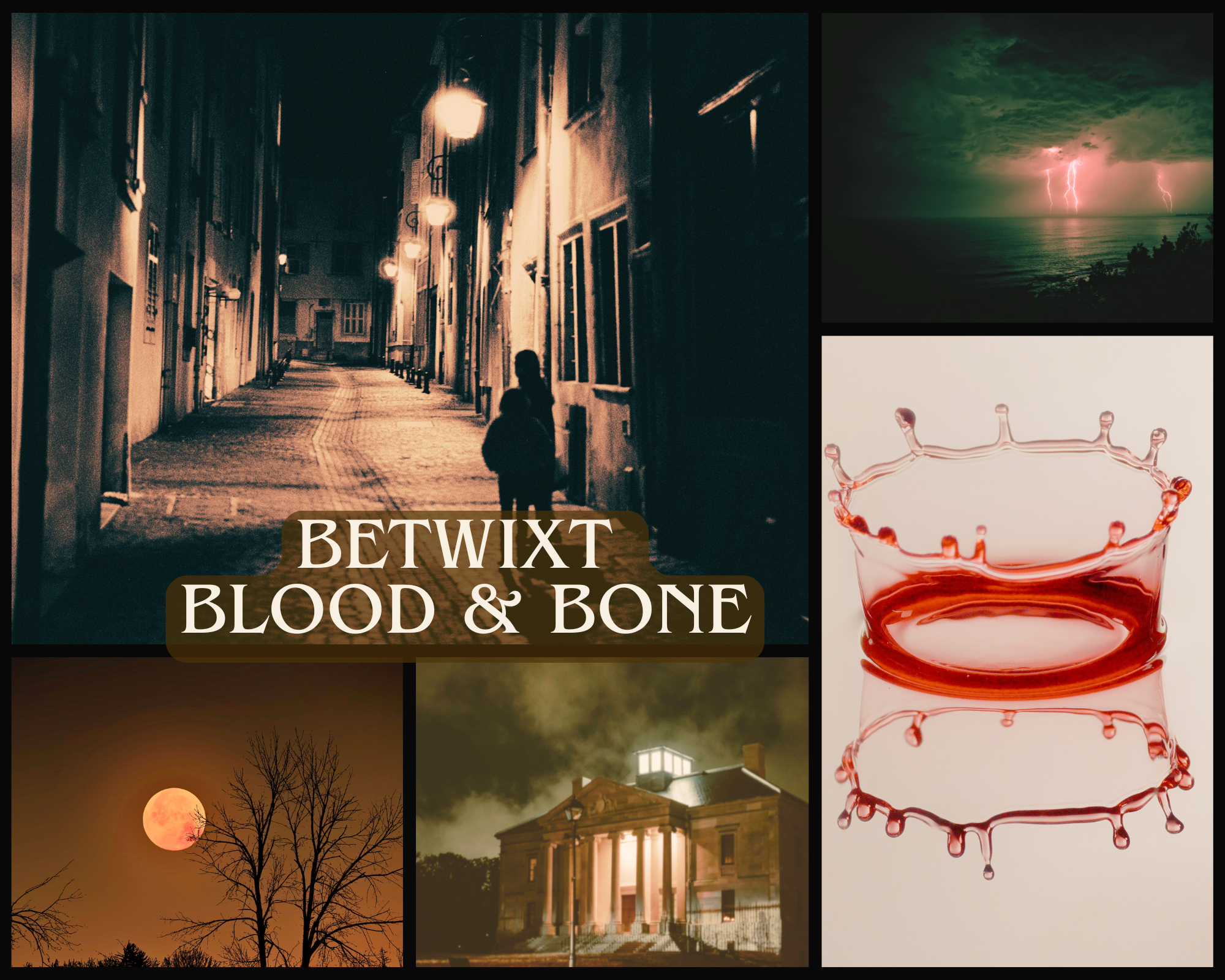 BETWIXT BLOOD & BONE - Adult Dystopian Romantasy