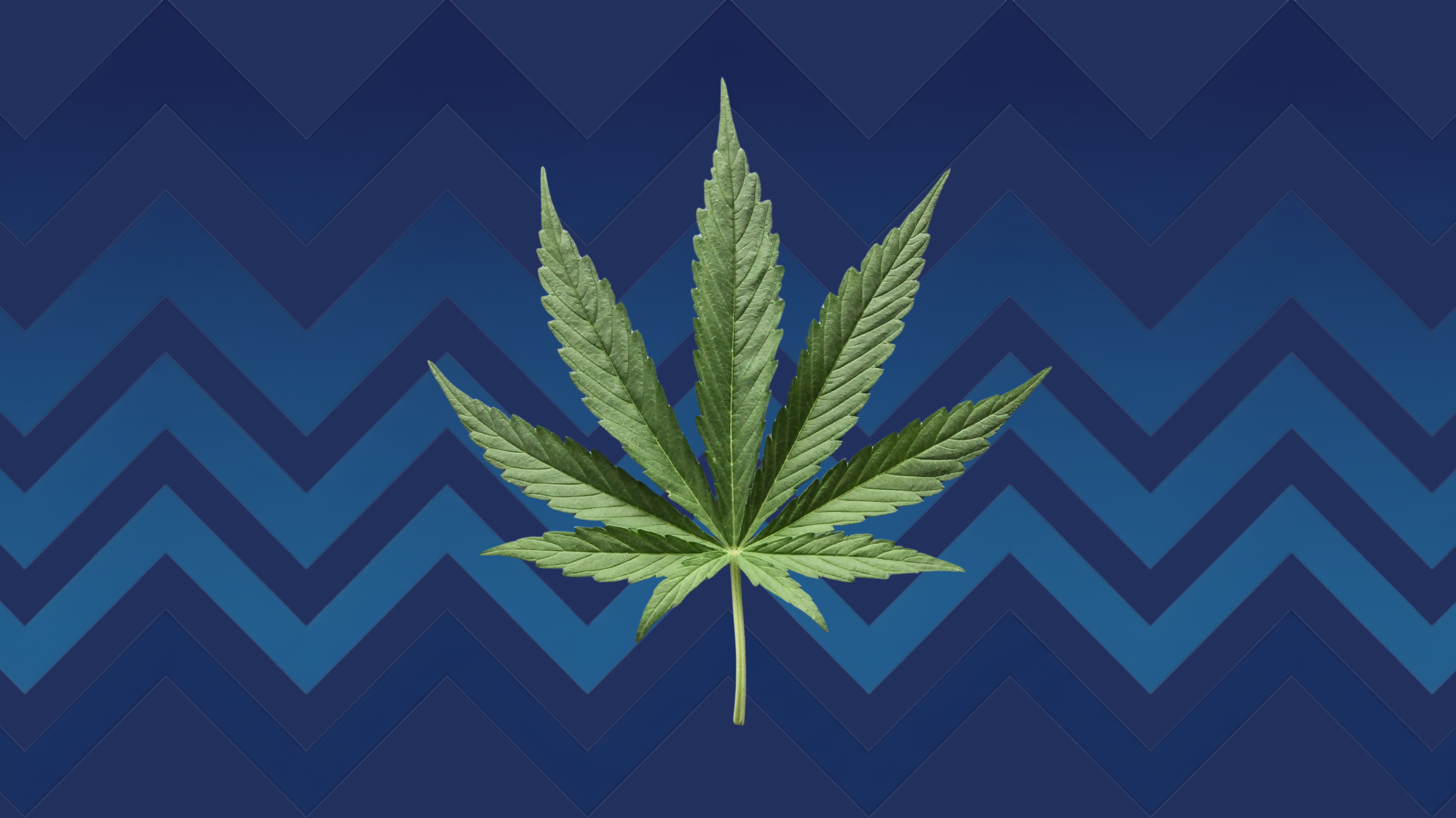 How the Reversal of Chevron Deference After Loper Bright Impacts Federal Cannabis Rescheduling