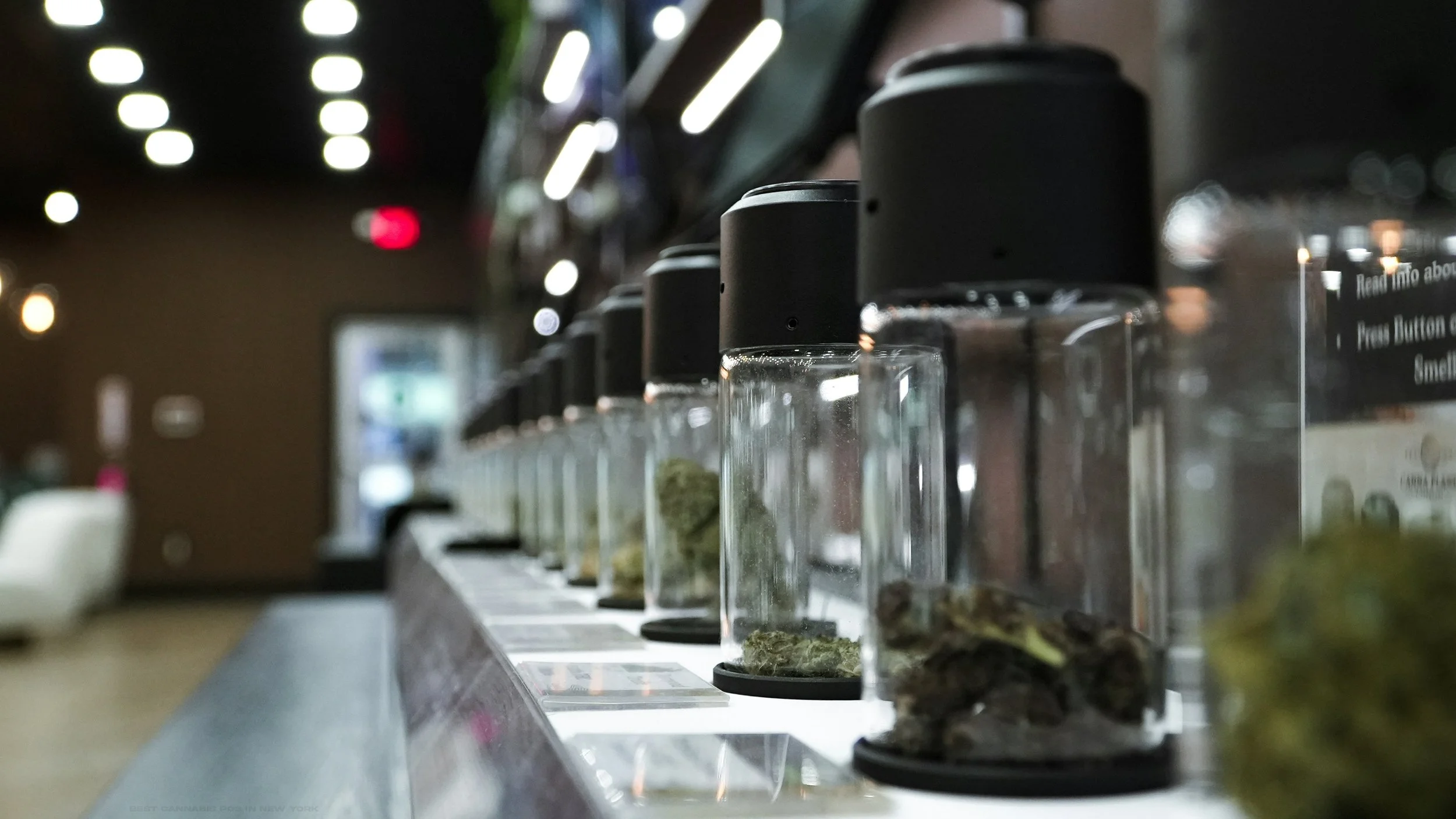 DEA Pauses Broader Marijuana Rescheduling as Federal Review Process Comes Under Scrutiny
