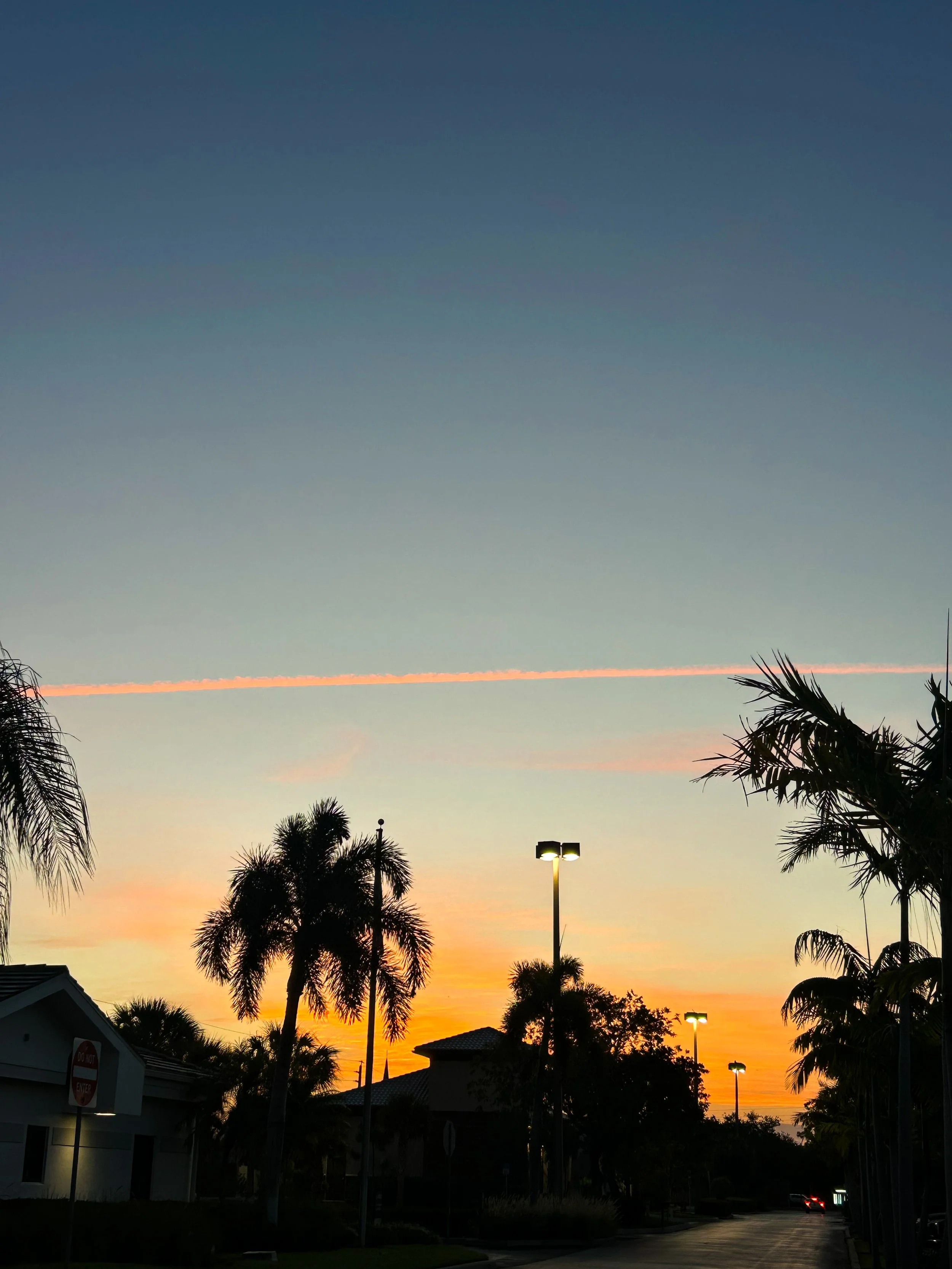 IMG_3429.jpeg