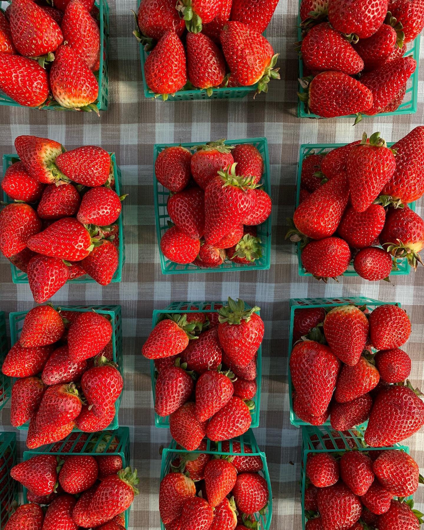 Happy Spring Equinox! With a shift in seasons comes new produce at the farmers markets. 

We have missed you sugar snap peas!!! 🫛🫛🫛

What are you looking forward to seeing at the market this spring?