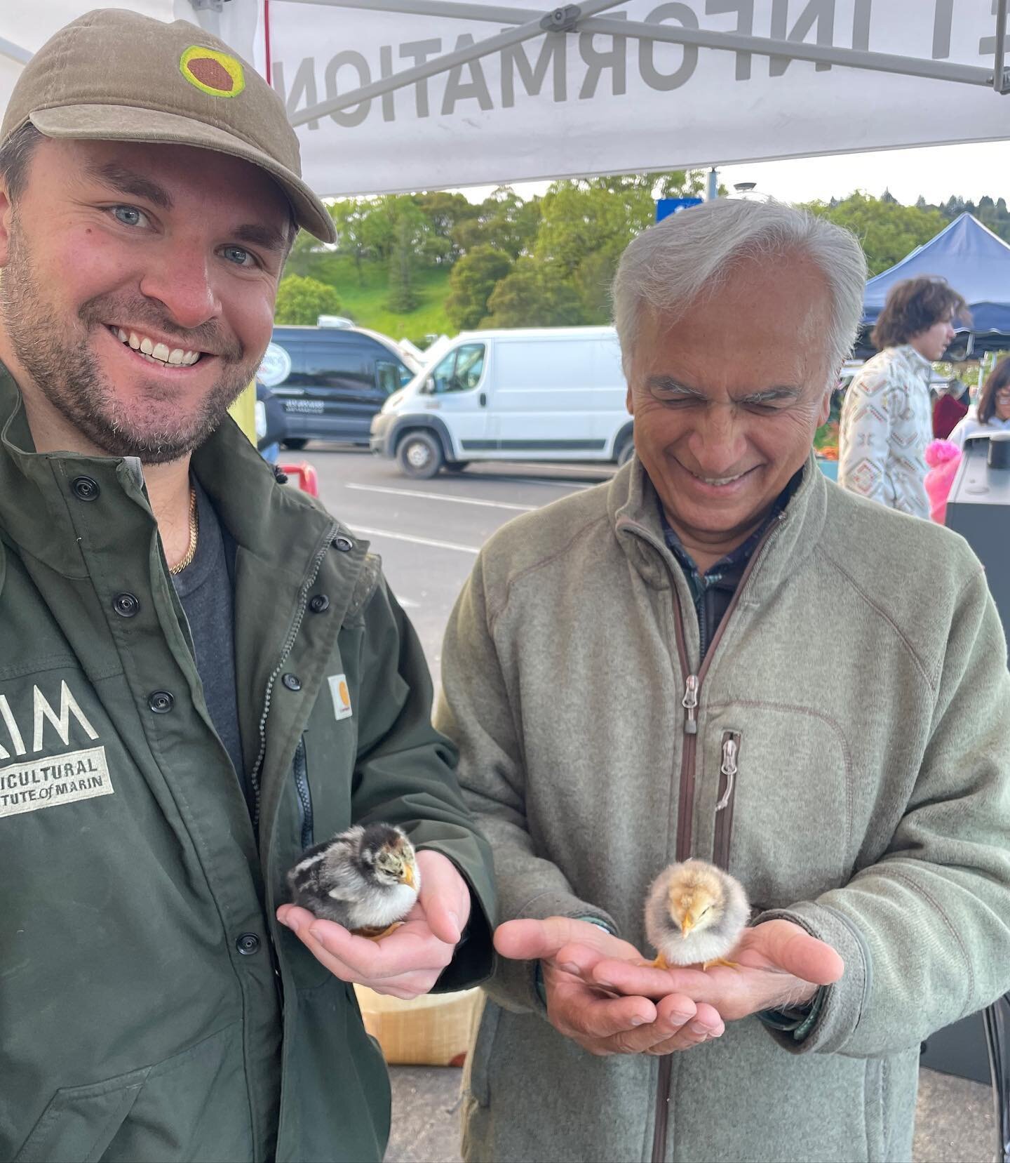 The markets are open today! Celebrate spring and support your local farmers 🐥🐥