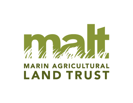 Manager, Annual Fund Communications - MALT