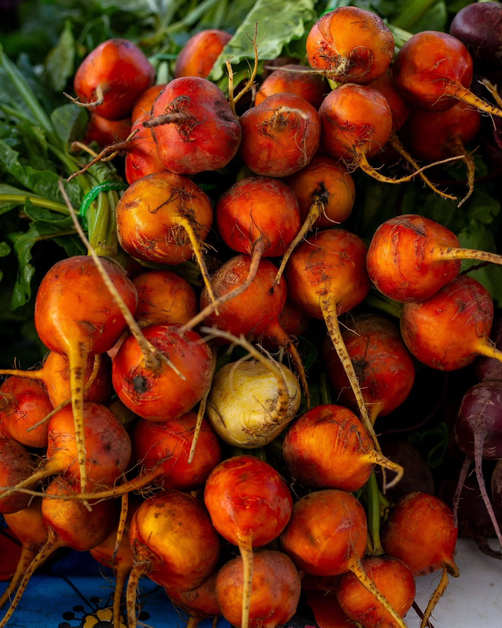 We're not gonna ask you to put down the cheese, but we are gonna suggest that maybe you might need a vegetable? All of our markets are open this weekend! Climb out from under your pile of blankets for some fresh air and fresh food. The sky is dry and