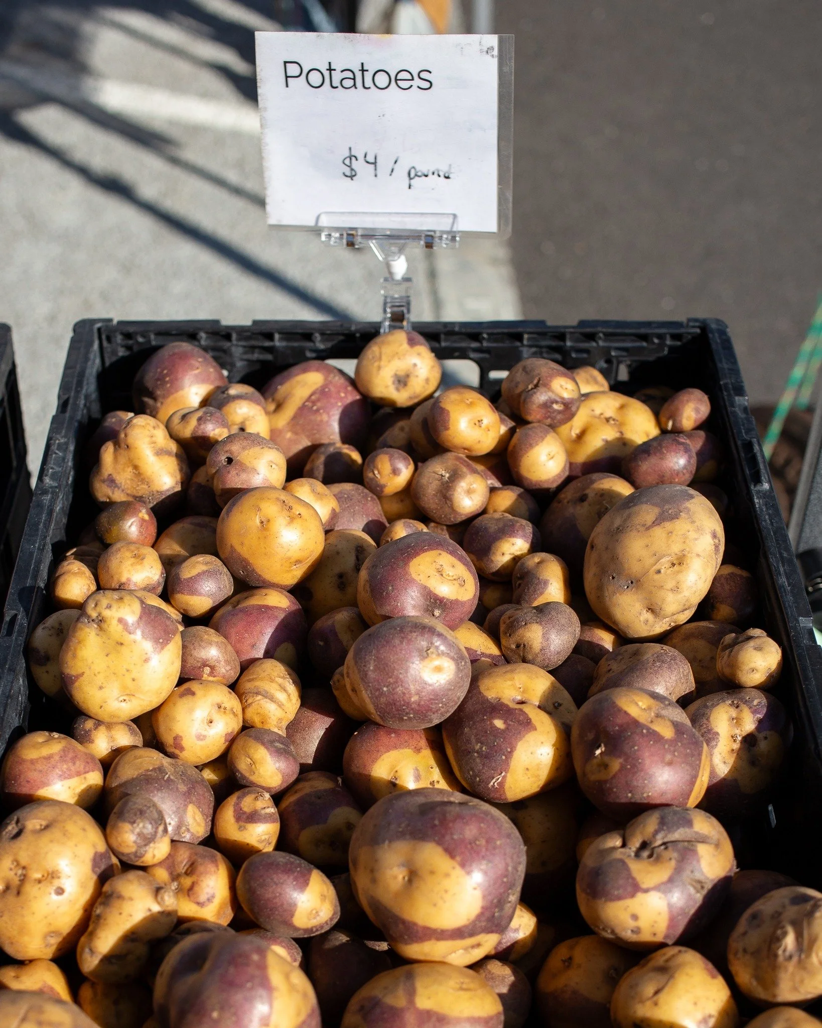 If we had to guess what you're perpetually craving, it's low stakes, hyper-local drama. We've got bushels of it at the market--just swipe for the receipts. 

Don't miss out on these seasonal specialties. Make sure you make time for the market this we