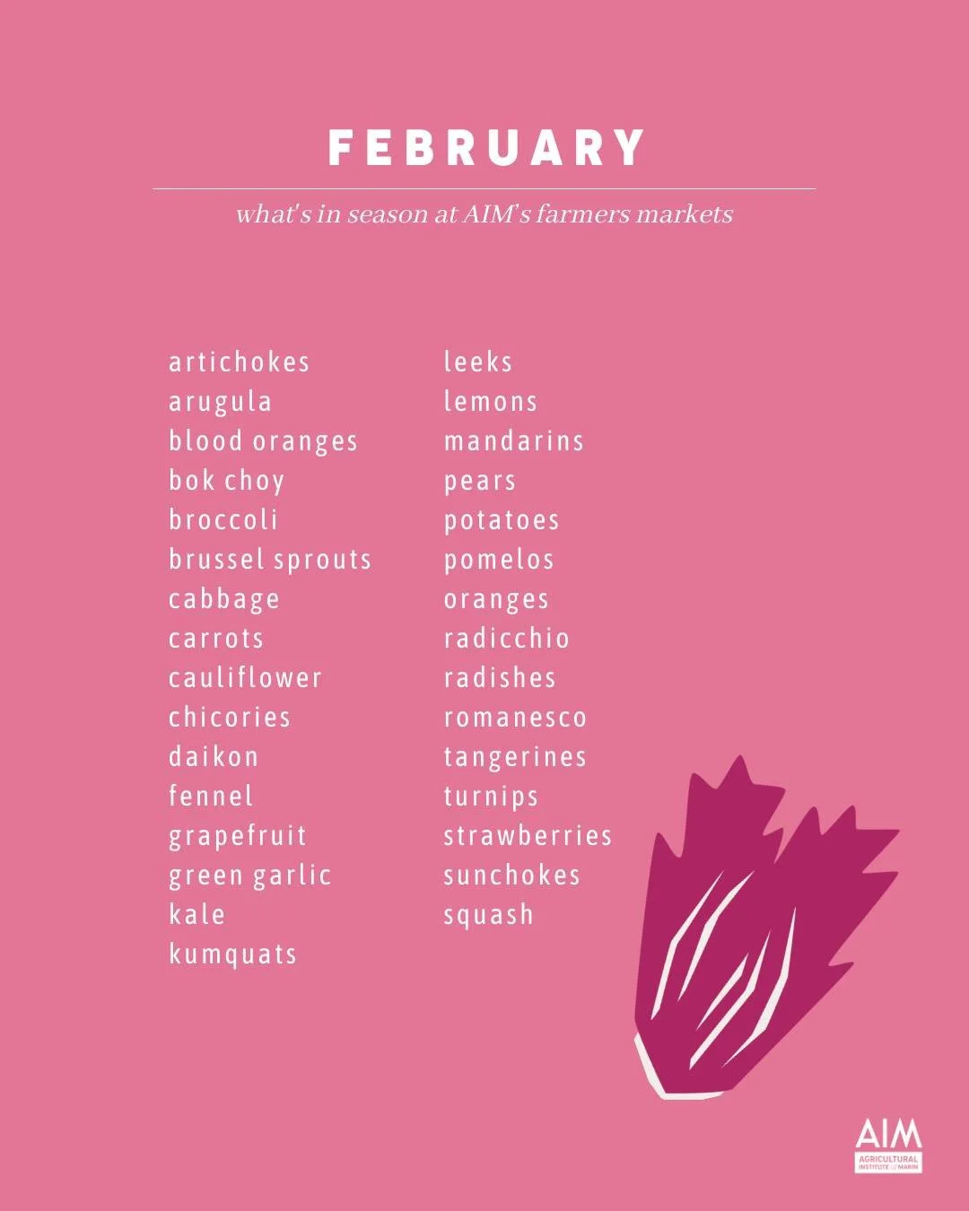 February in Northern California has so much to offer. The farmers market is chock-full of chicories, bursting with brassicas, and so, so much citrus. We know it's tempting to want to stay inside, but we'll be out here waiting to see you, rain or shin