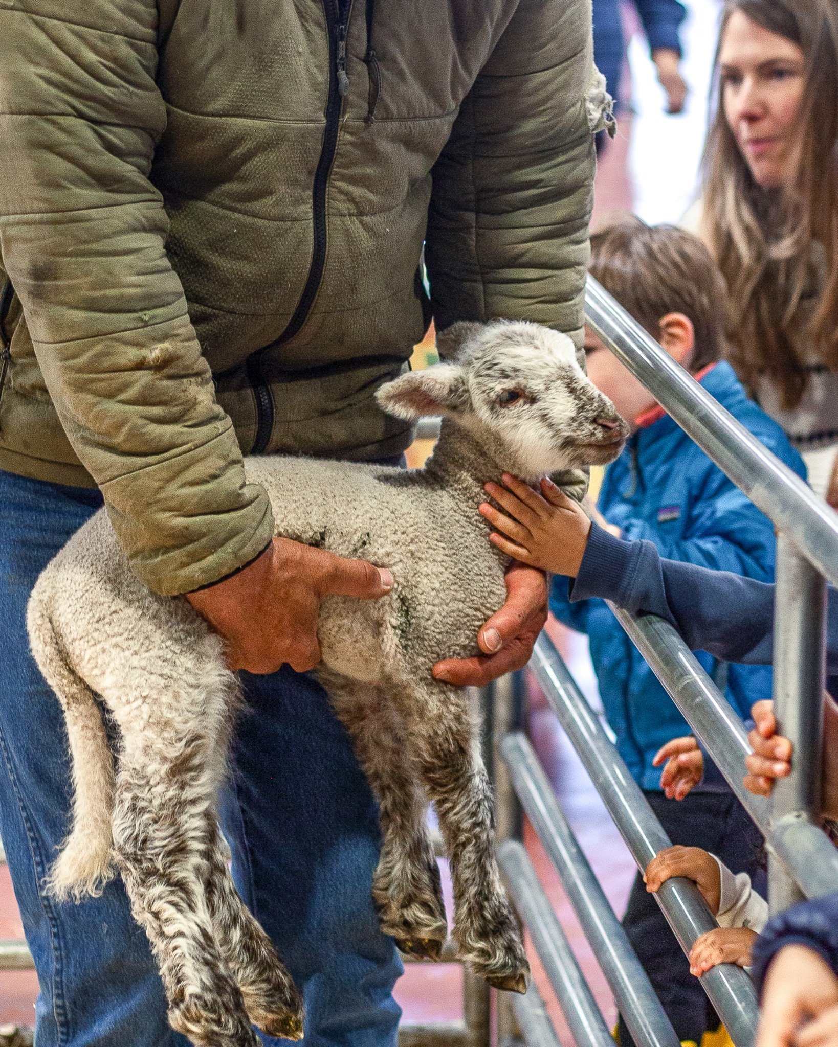 Get ready, Marin Farm Day is March 26. It's going to be un-baaaa-lieveable!

Diggin' Education will be on-site with giveaways and produce tastings, along with many other ranchers, farmers, producers, and educators. Hop on the saddle and head over to 