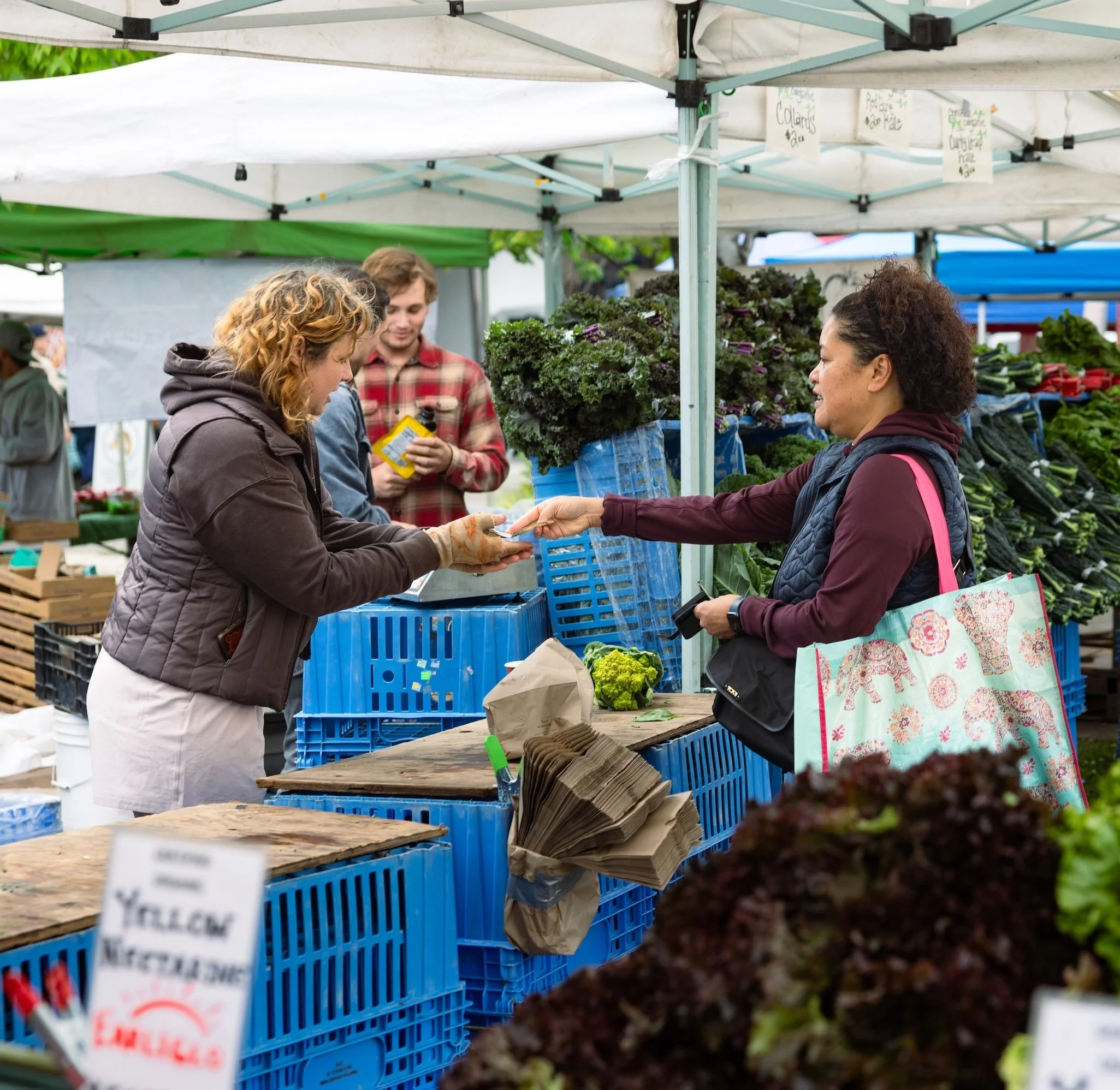 AIM’s Plastic Bag Ban&nbsp;