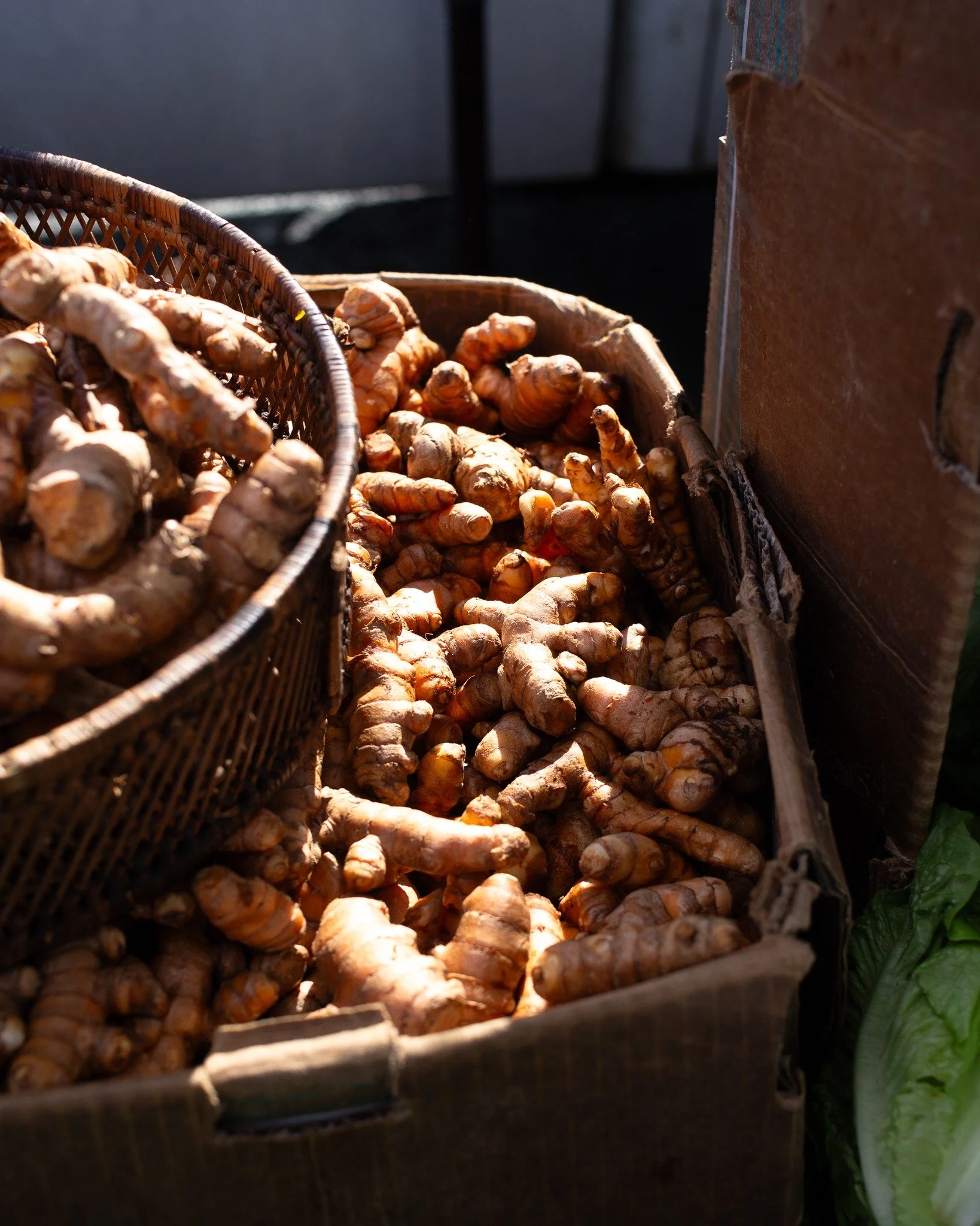 You think there's nothing at the farmers market in the winter?? Lettuce prove you wrong. See you this weekend. 😎