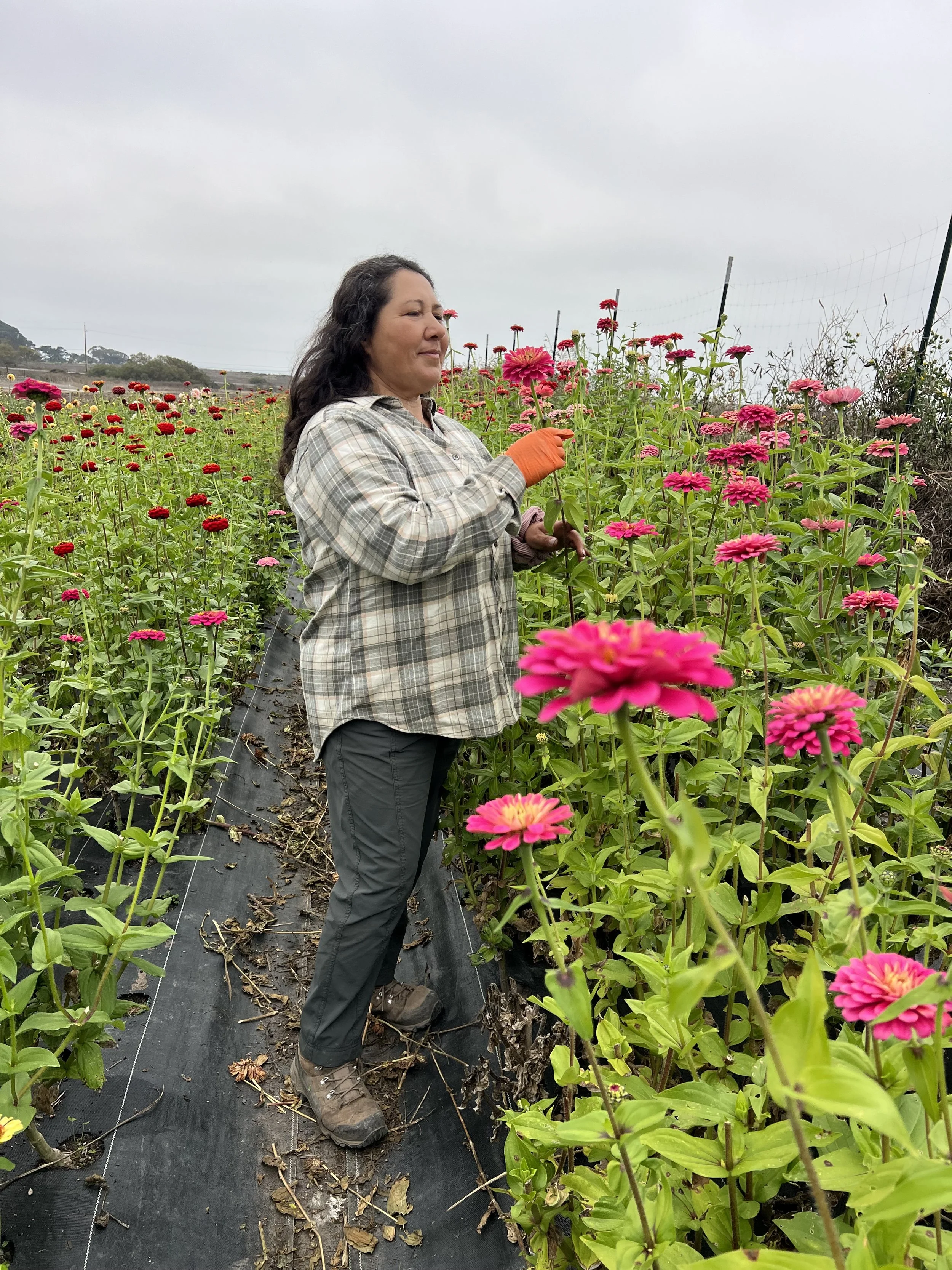 Market Access Fund 2026 Cohort