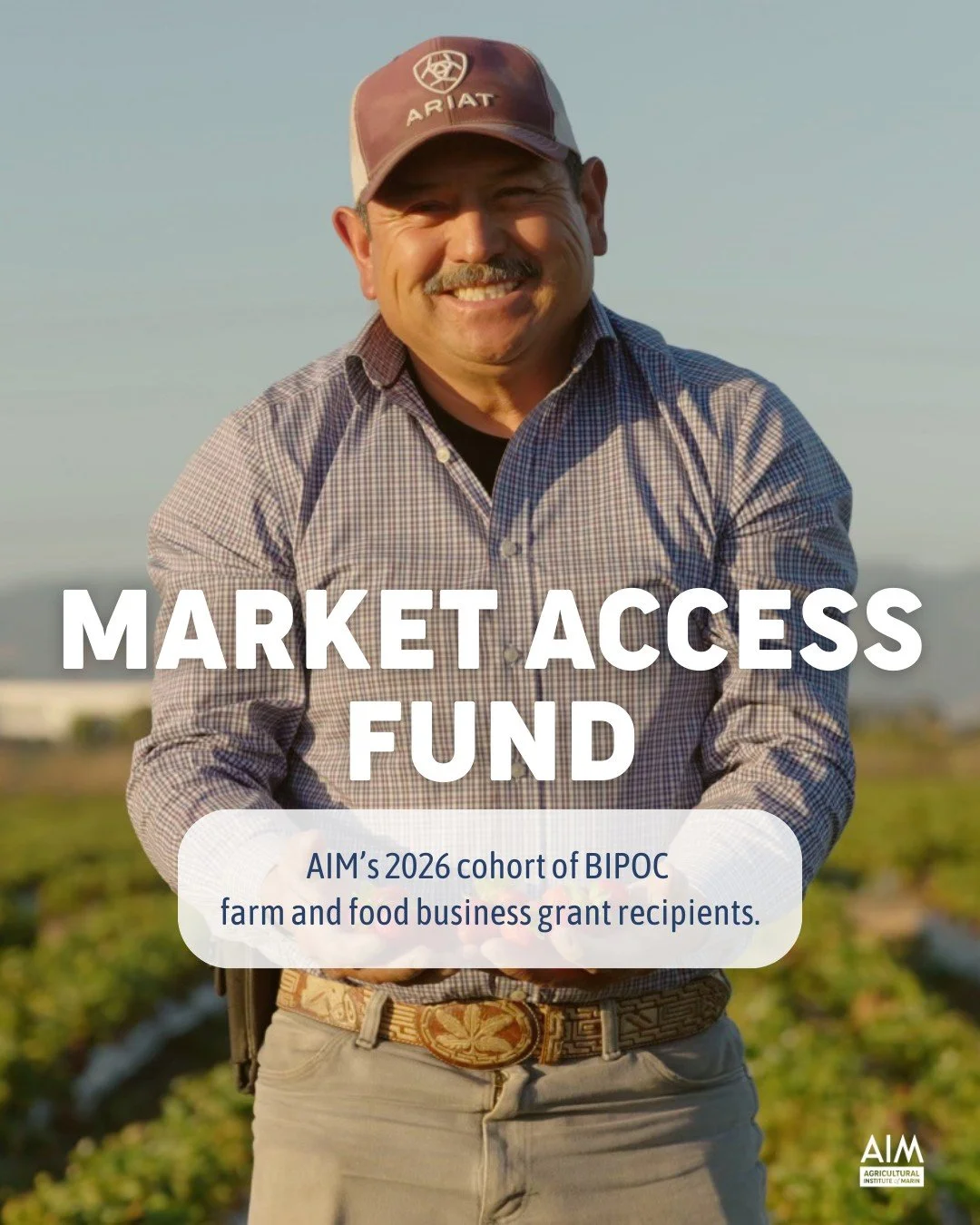 AIM's Market Access Fund supports BIPOC farmers, food producers, and artisan entrepreneurs through direct financial and skills support. The grant program: 
- Waives market registration and six months of stall fees.
- Provides consulting and support s