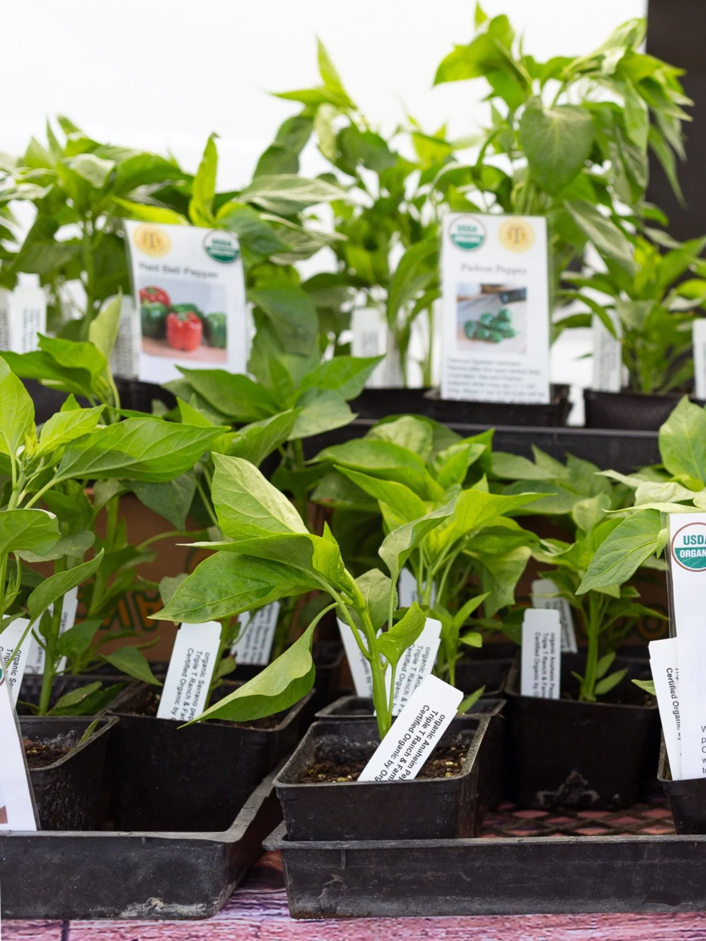 How does your garden grow? Well, now&rsquo;s the time to decide. Start your plants and sharpen your tools this weekend&mdash;spring is here!