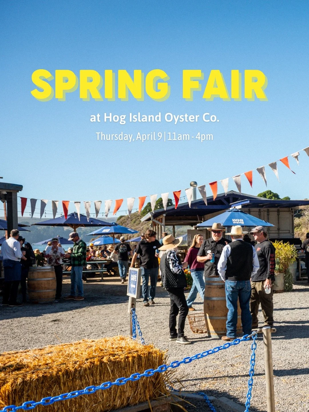Shuck-Your-Own Thursdays returns to Hog Island Oyster Farm in Marshall this Thursday! Join us at the Spring Fair to celebrate.

Grab picnic goodies from the General Store and snag a shuck-your-own table (first-come, first-served). Plus lawn games, oy