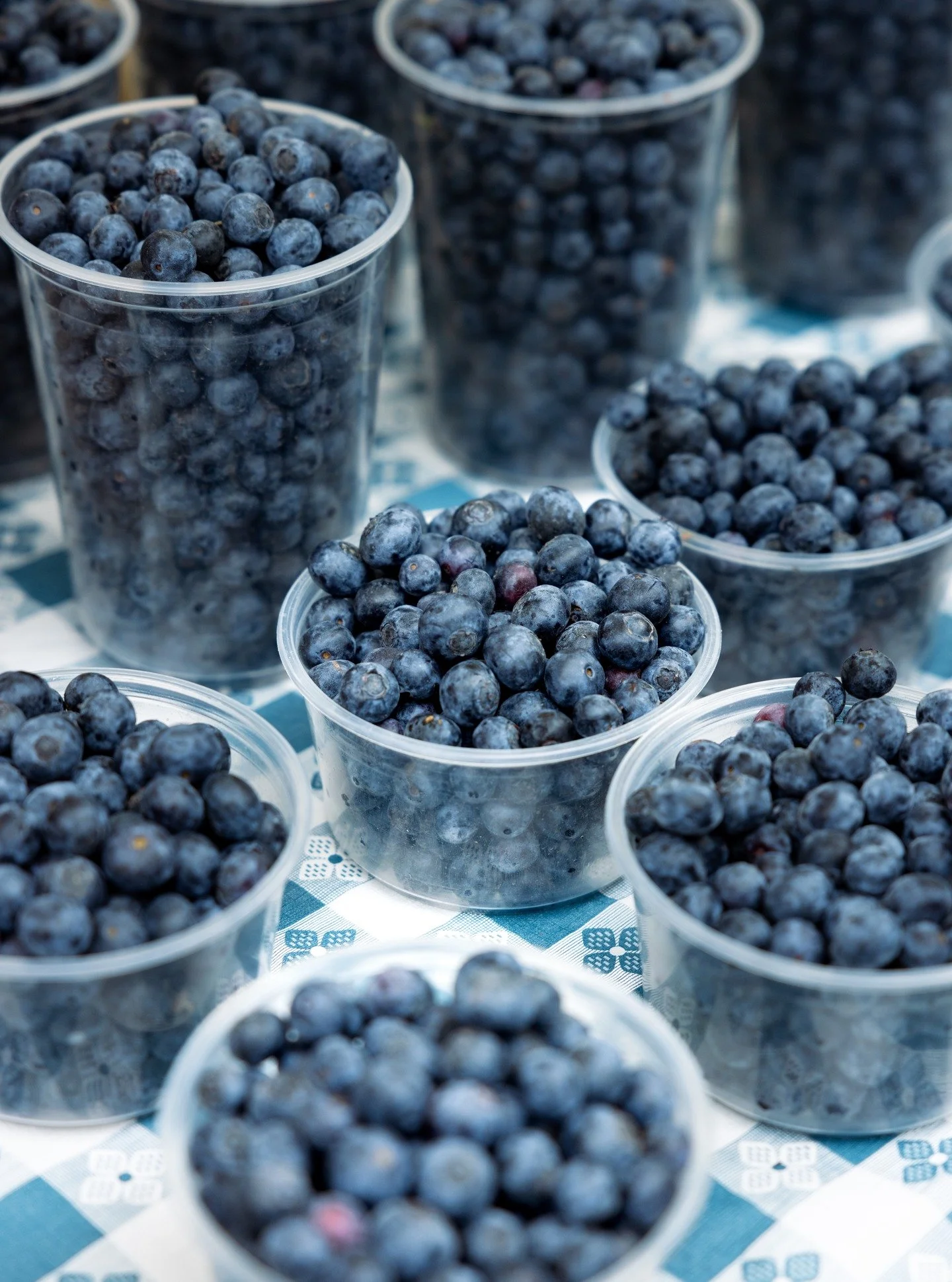 True or false: You crushed all of the blueberries you picked up this weekend within 24 hours.