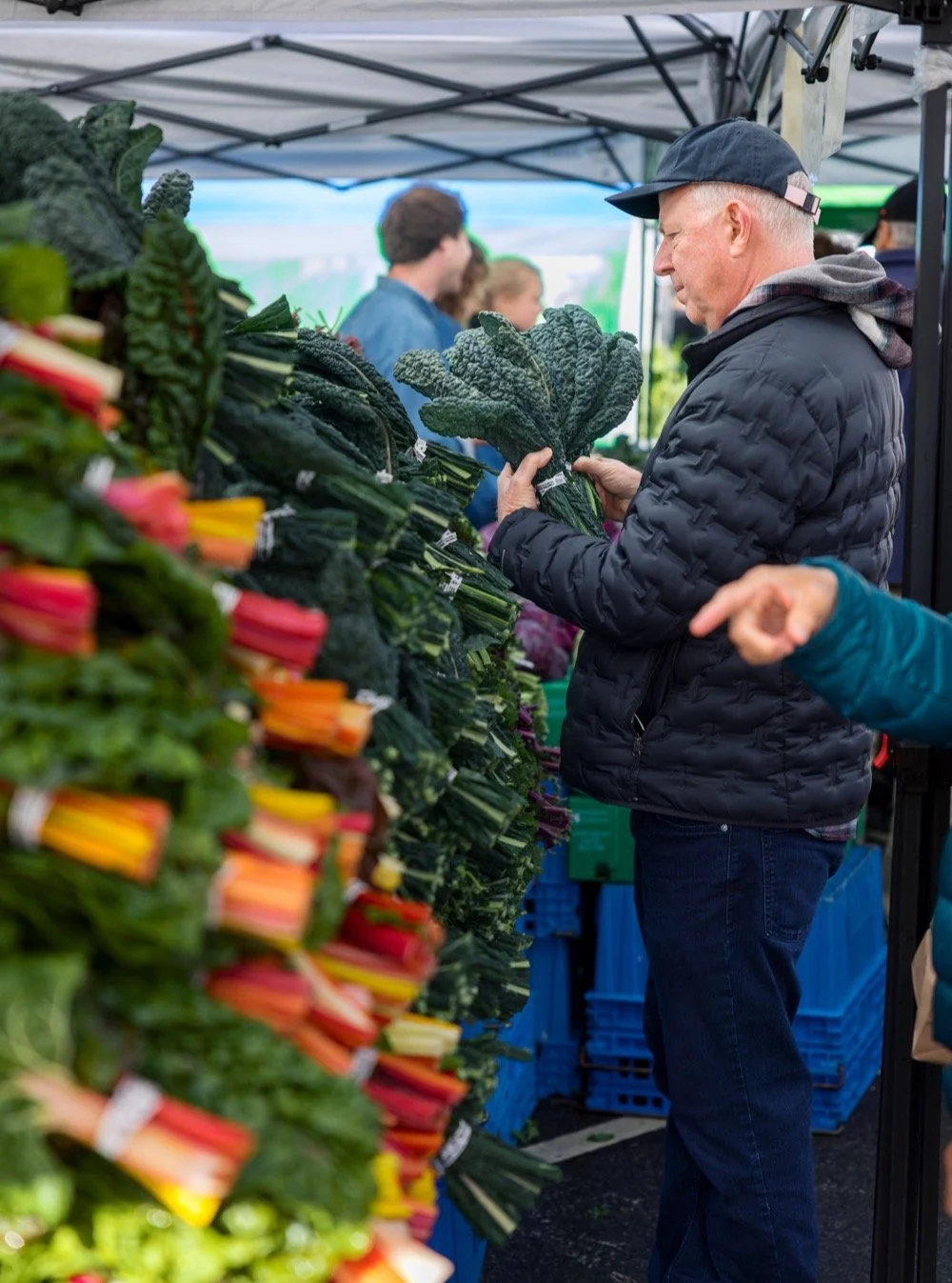 If you start your Monday off with leafy greens, you're starting off the week winning. And if you haven't started your Monday with leafy greens, you've got plenty of time to do so! Really, it's a no-lose situation. (Even if realistically you've just b