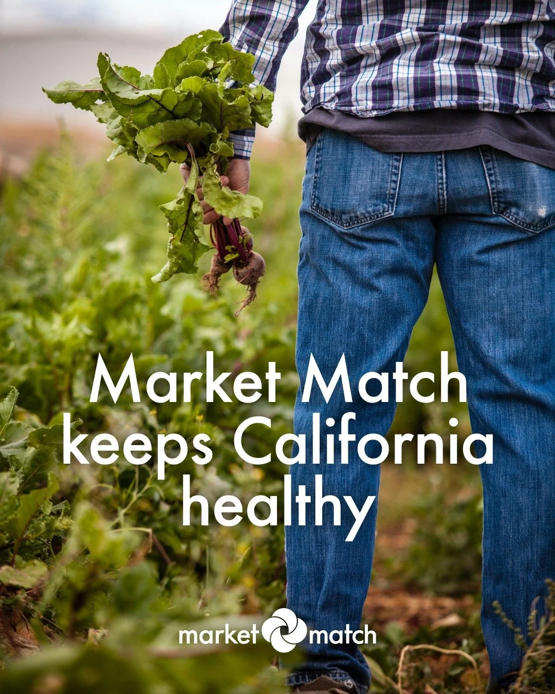 This is the moment to make sure Market Match stays funded. Negotiations are moving to the governor's office. Call Governor Newsom's office TODAY at (916) 445-2841 and ask him to protect funding for Market Match in the state budget. Swipe for a phone 