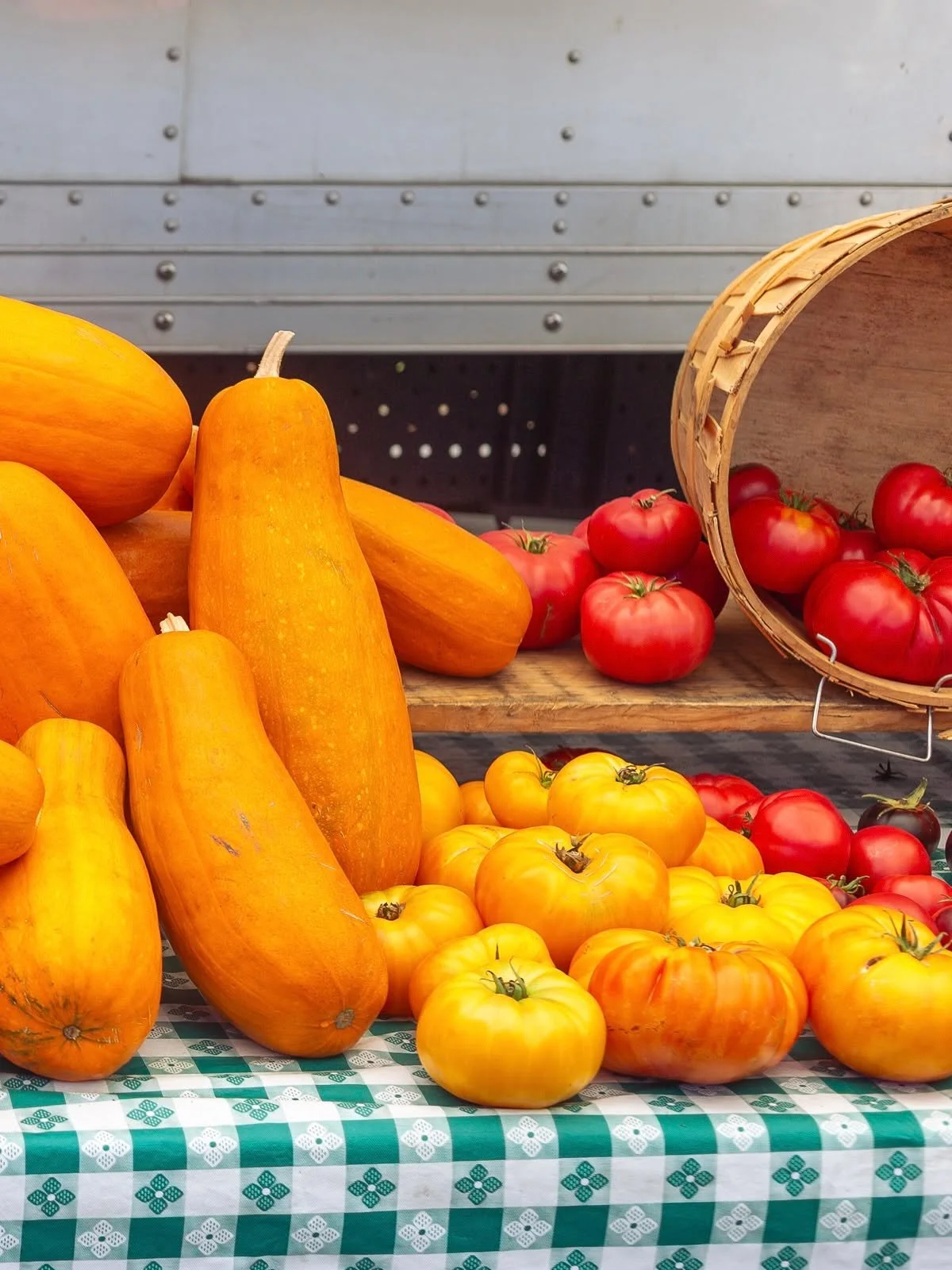 True or false: October is the best time of year in the Bay.