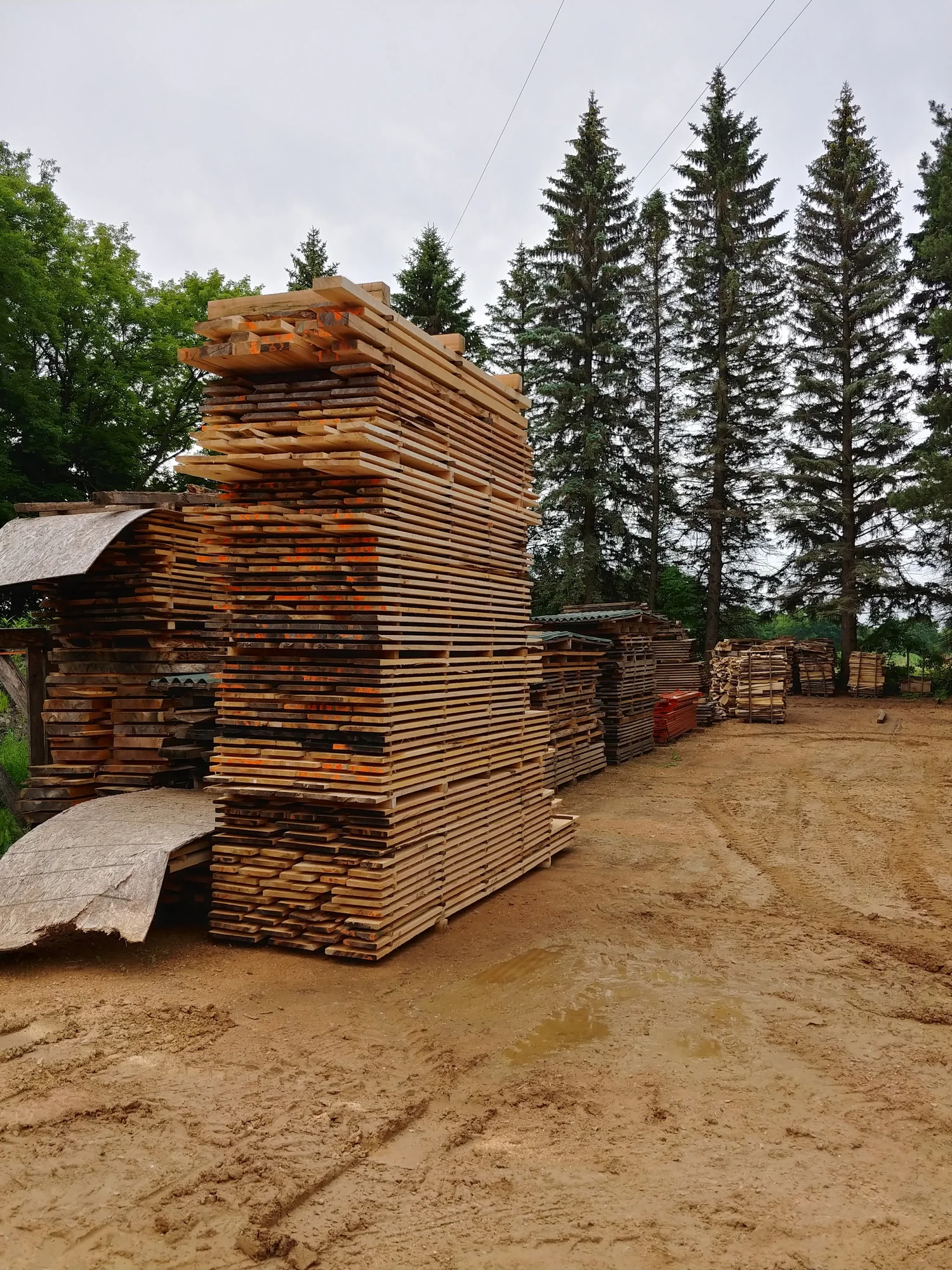 Timms Lumber and Sawing