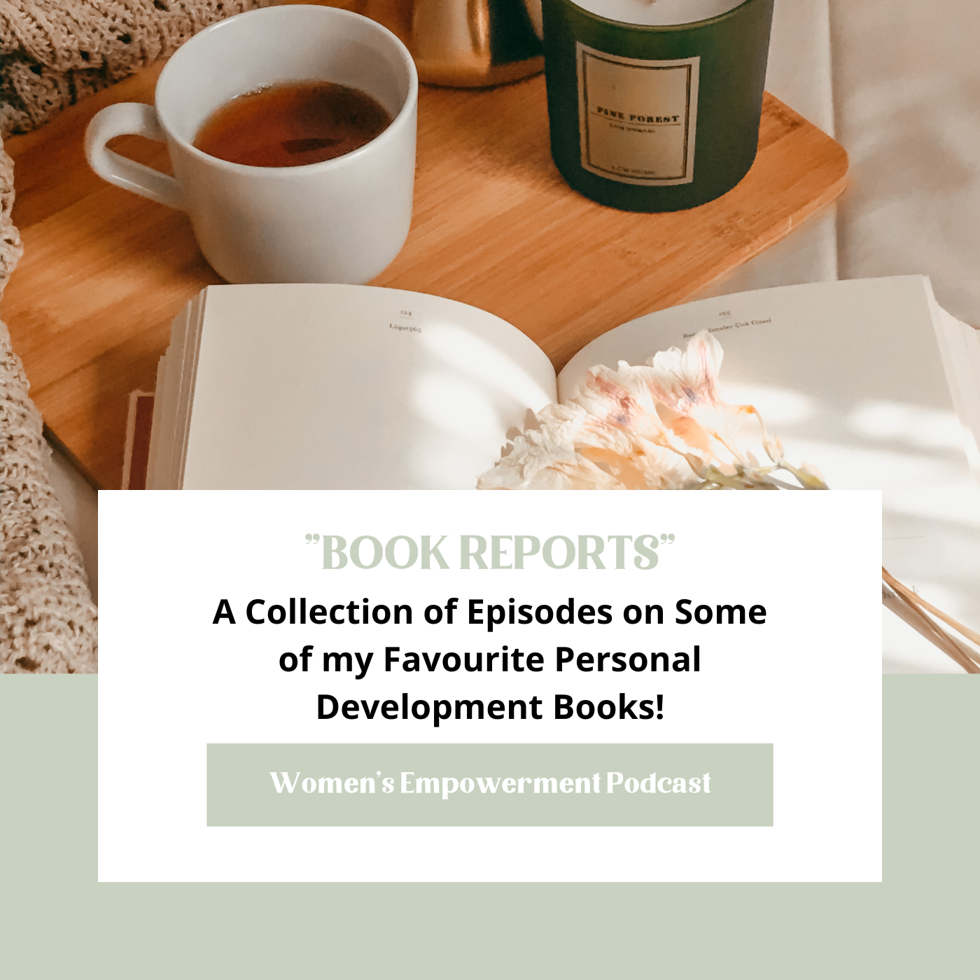 Book Report Style Podcast Episodes