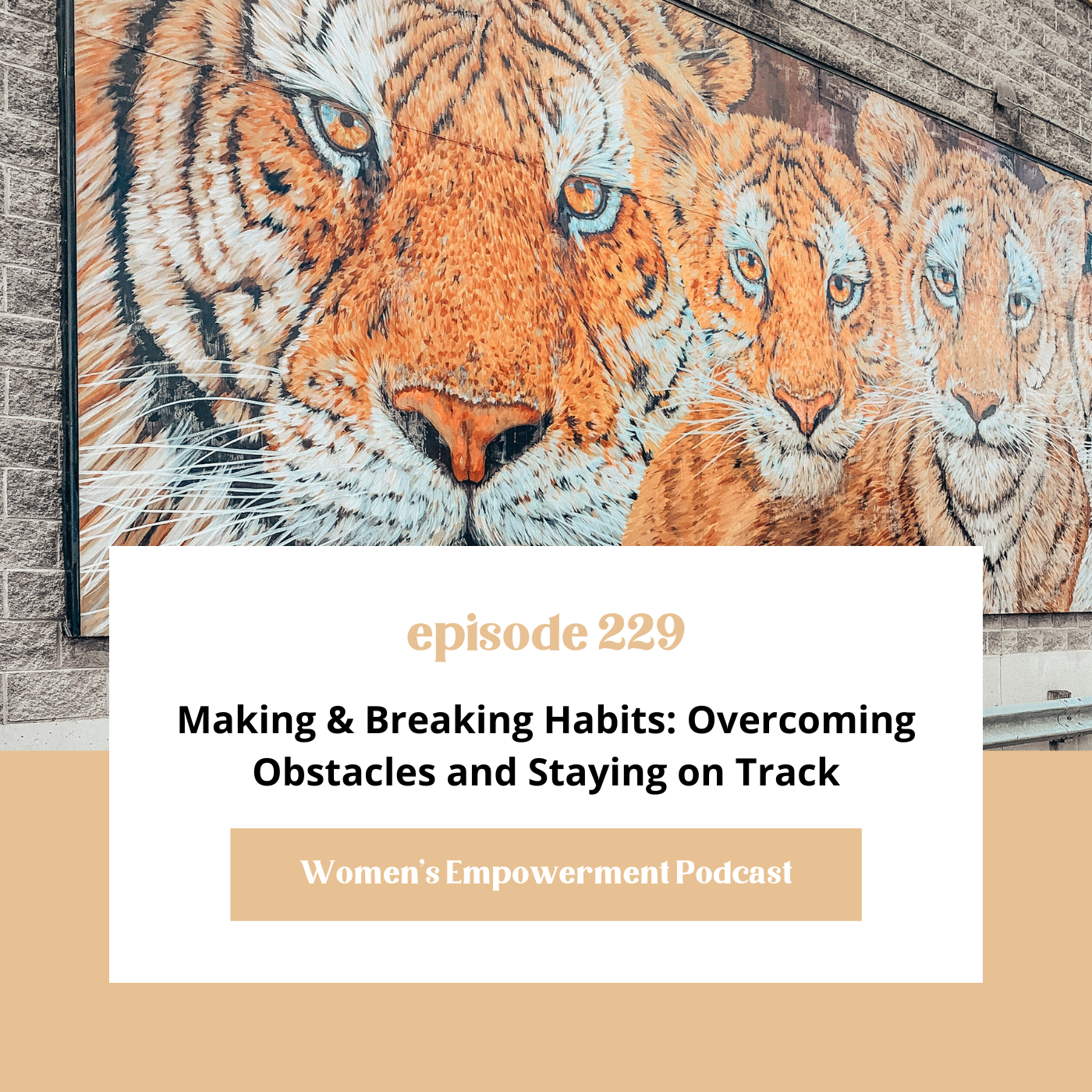 E229: Making &amp; Breaking Habits: Overcoming Obstacles and Staying on Track