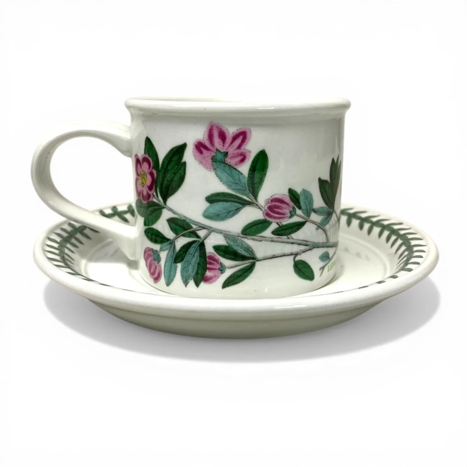 Set Di 6 Tazze Da Tè E Piattini Portmeirion Botanic Garden | Ceramica Resistente | Motivi Botanici | Lavabili In Lavastoviglie E Microonde