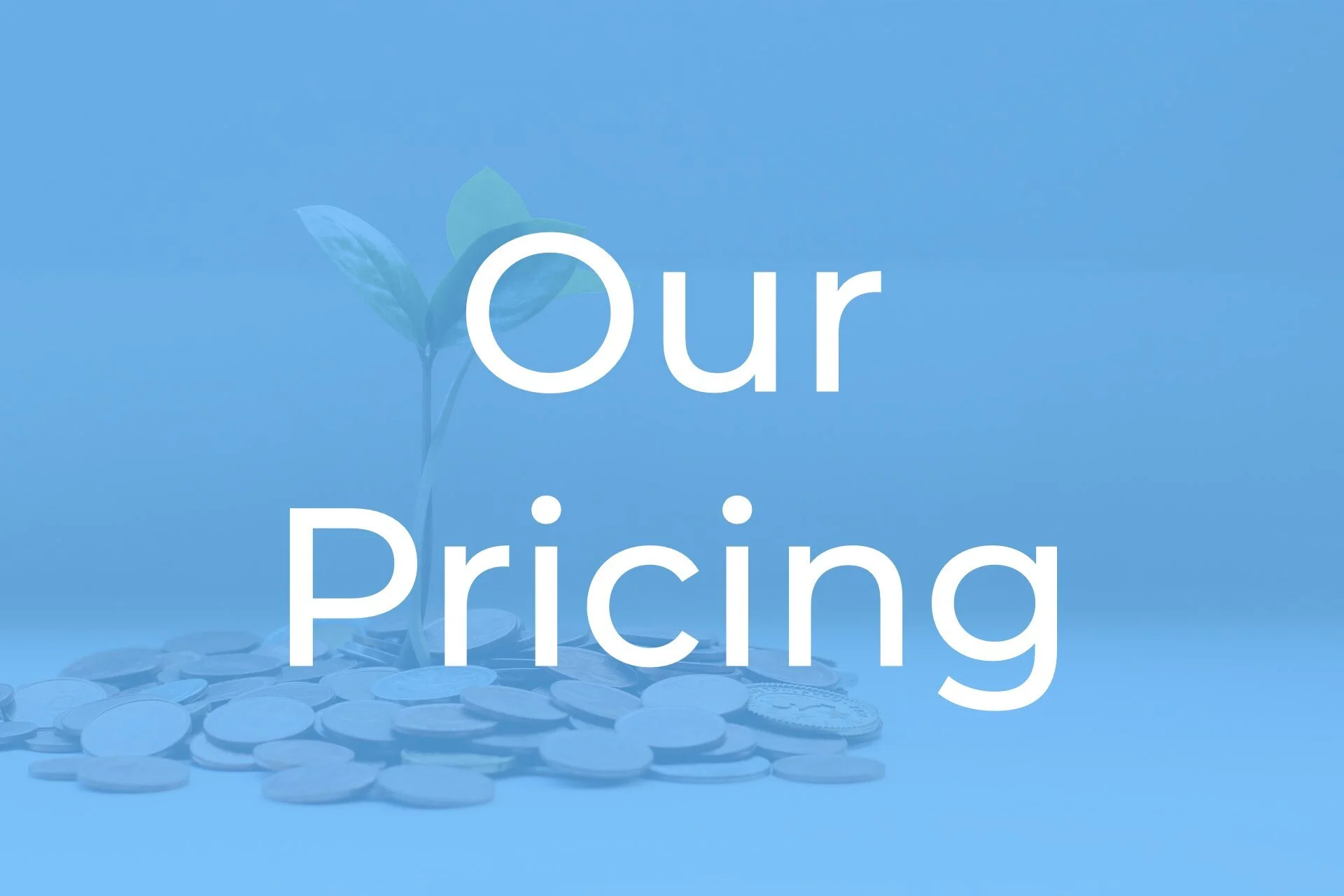Our Pricing 4.001.jpeg