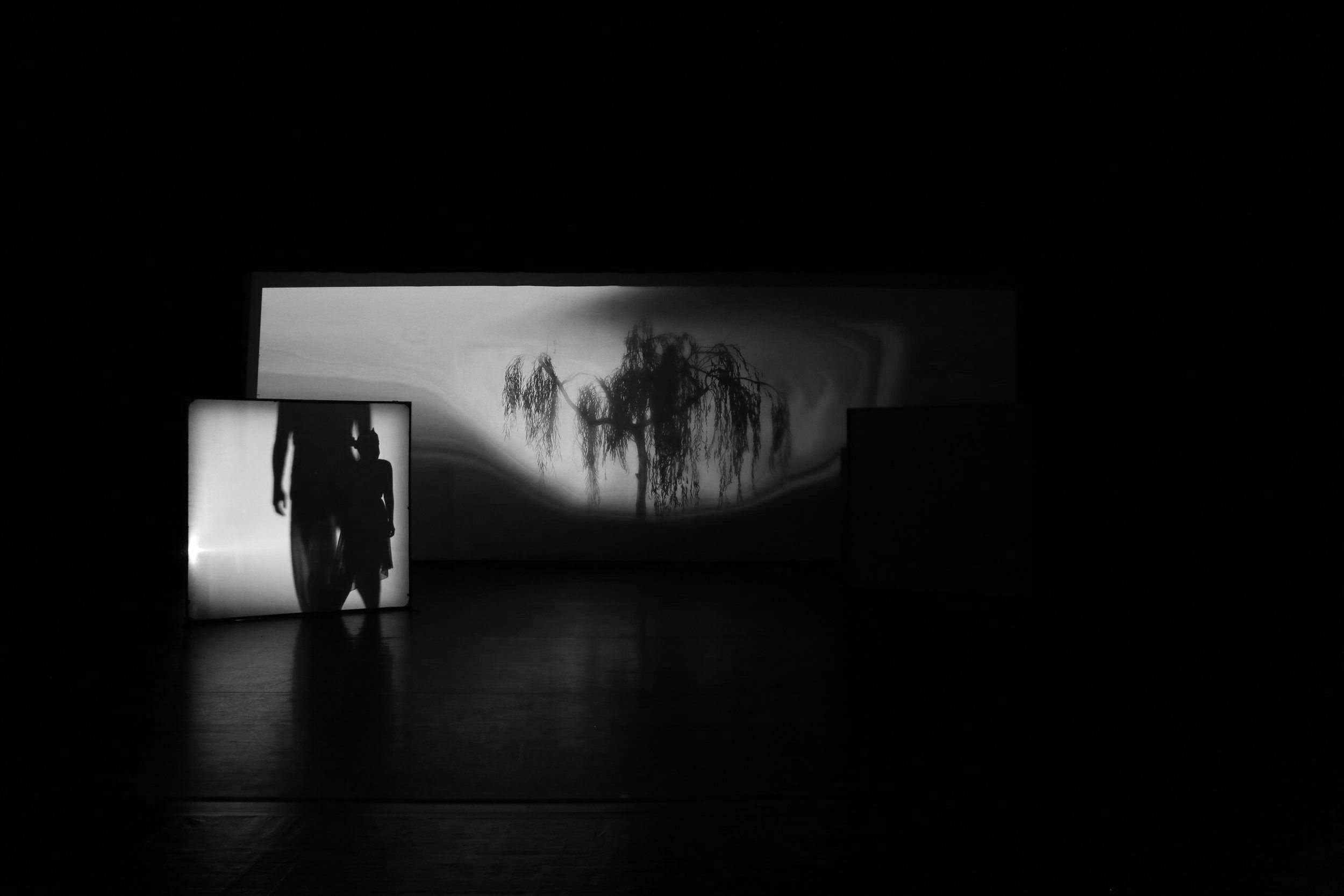 CC_D+2021%2C+photo+by+Ella+Bromblin+%28142%29.jpg
