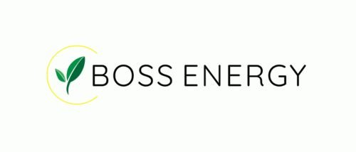 Boss Energy Logo - Sustain SC.jpg