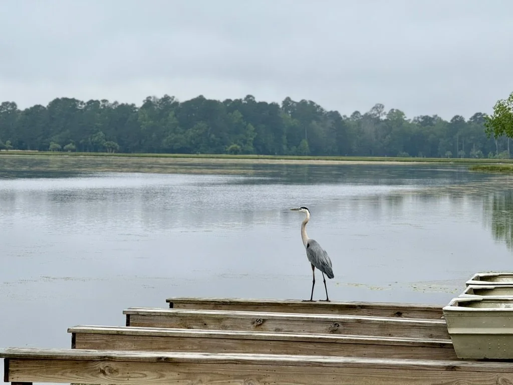 New Poll Shows Republican Primary Voters Back Conservation, Resilience and Energy Planning at Record Levels