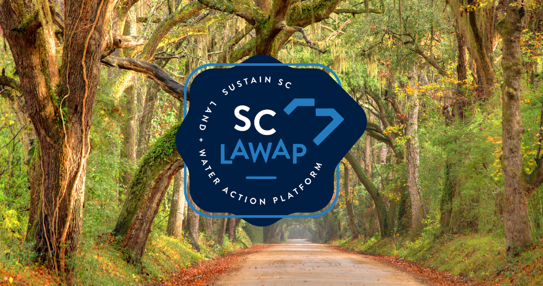 Sustain SC Awards First Round of 2026 Grants Through Land and Water Action Platform
