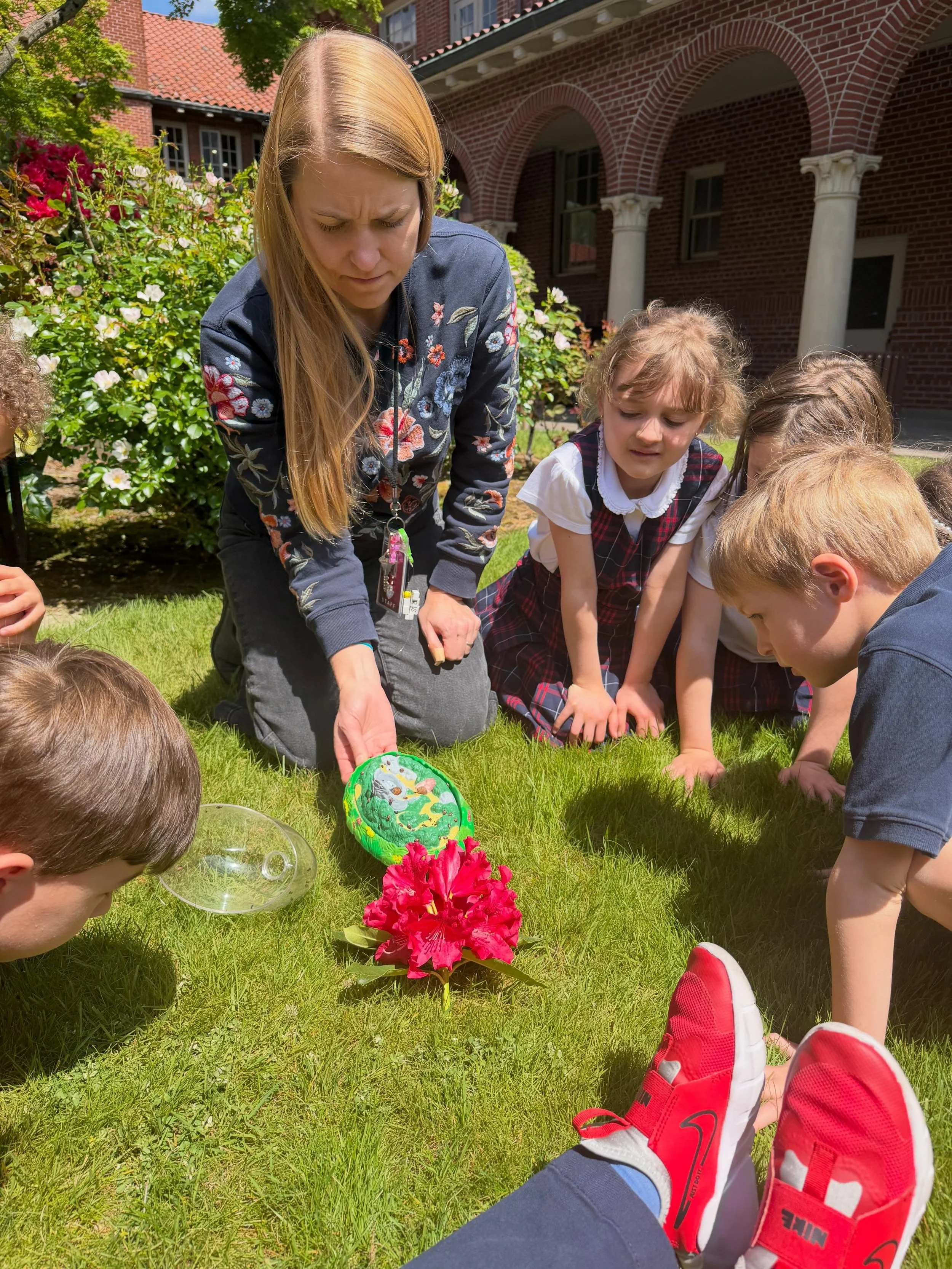 Our Kindergarten students became little scientists as they watched the amazing metamorphosis of ladybugs right in their classroom! 🐞✨

From tiny larvae to beautiful ladybugs, students experienced hands-on learning that sparked wonder and excitement 