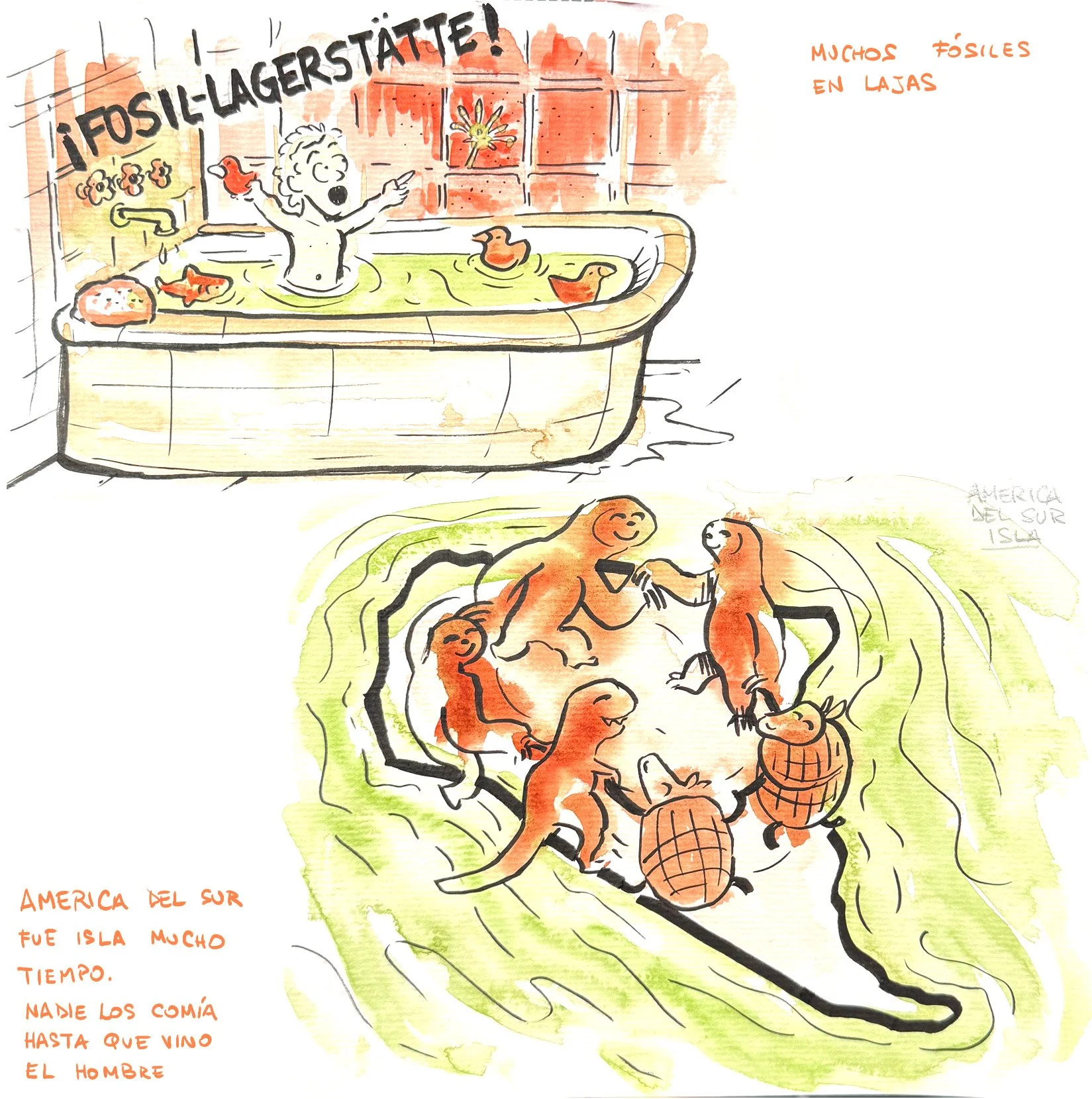 ADG - Alberto Boscaini 2.jpg