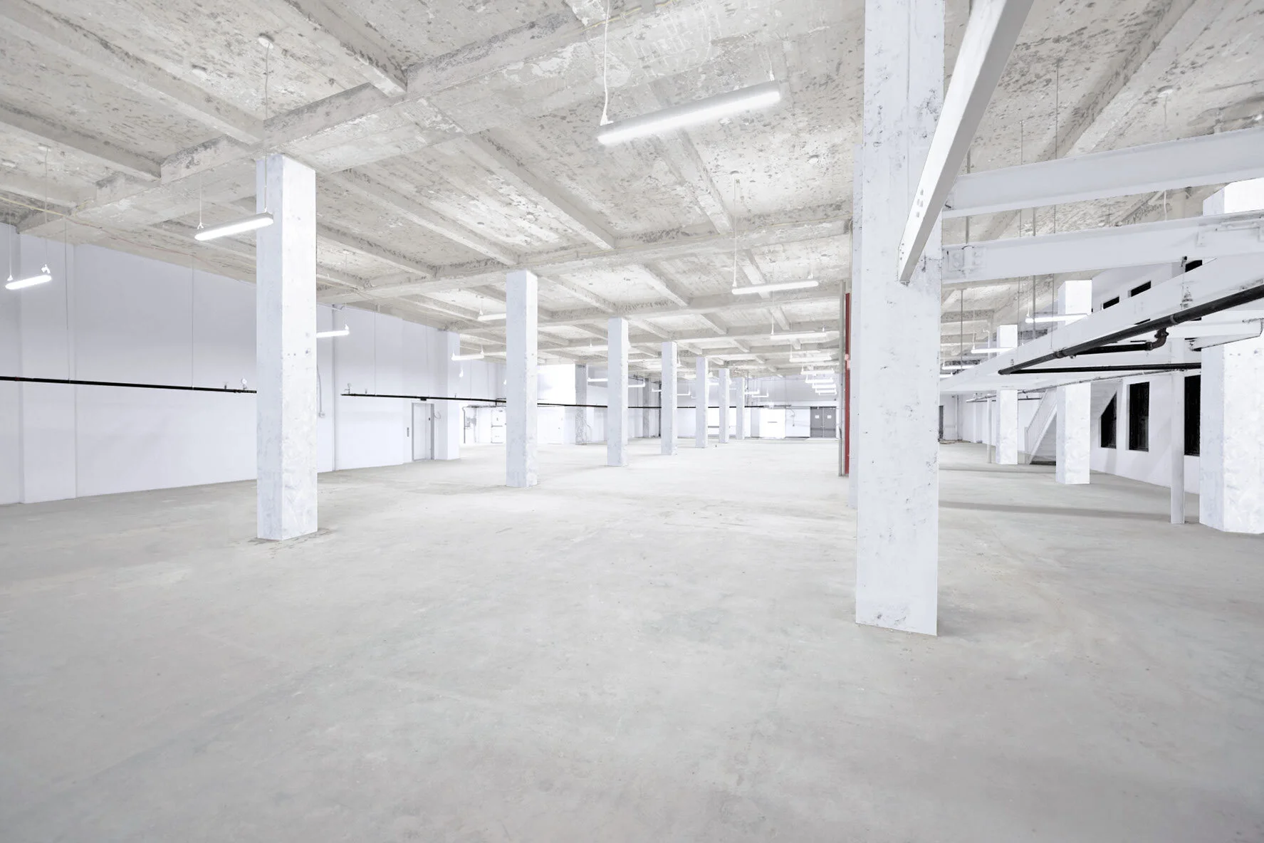 Ground1.jpg