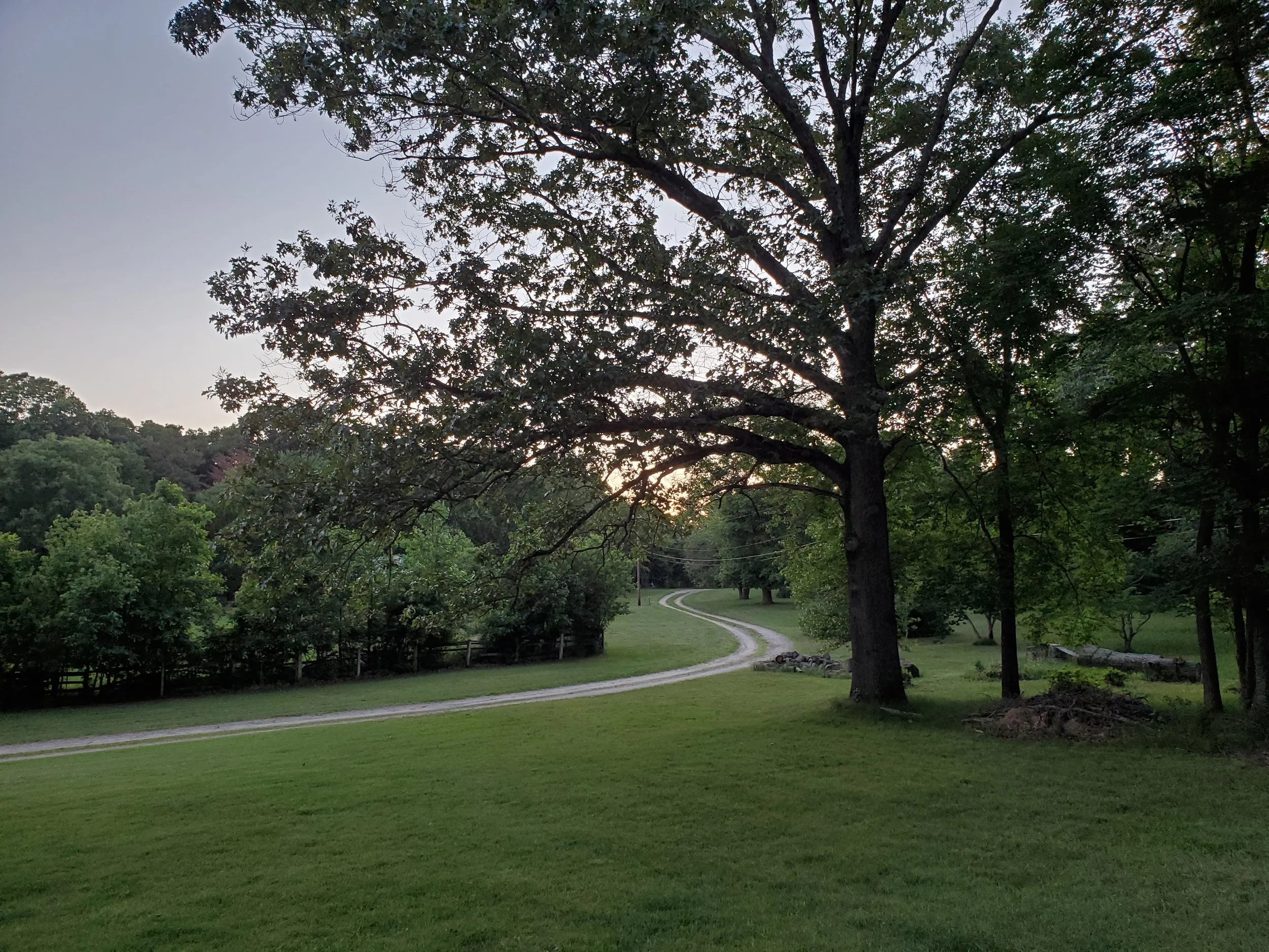 The Long and Winding Lane