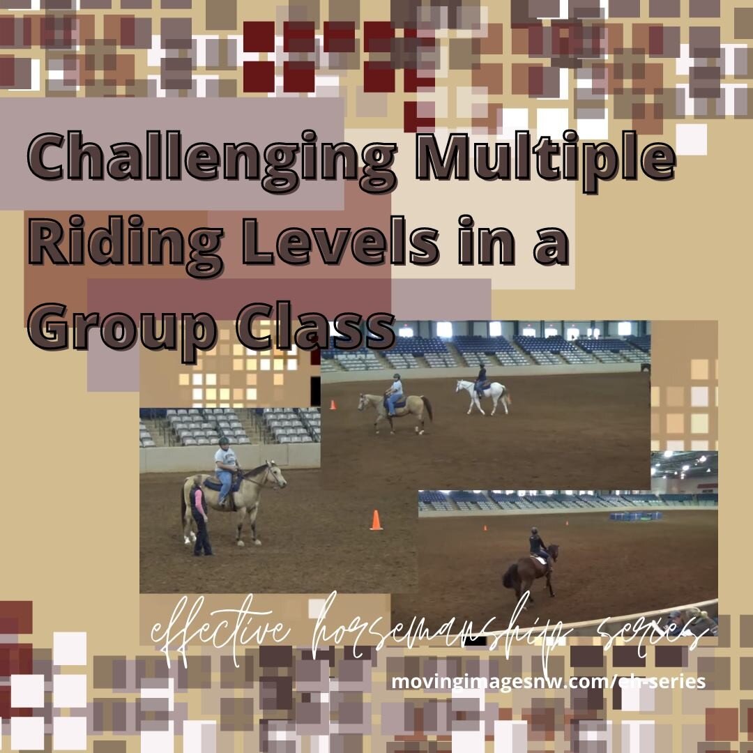 Do you teach multiple riders in a class? How can you challenge all of them if they are riding at different levels? Instructors must be able to plan lesson content that can be adapted for all abilities or skill levels, hunter or western, male or femal